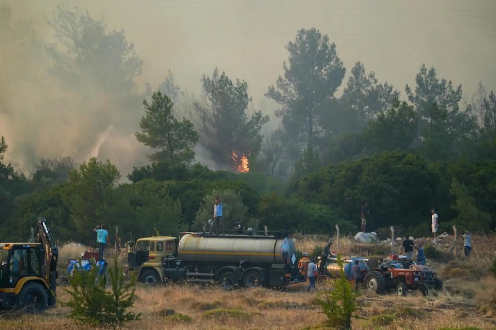 İzmir Çeşme ve Ödemiş'te orman yangınları devam ediyor