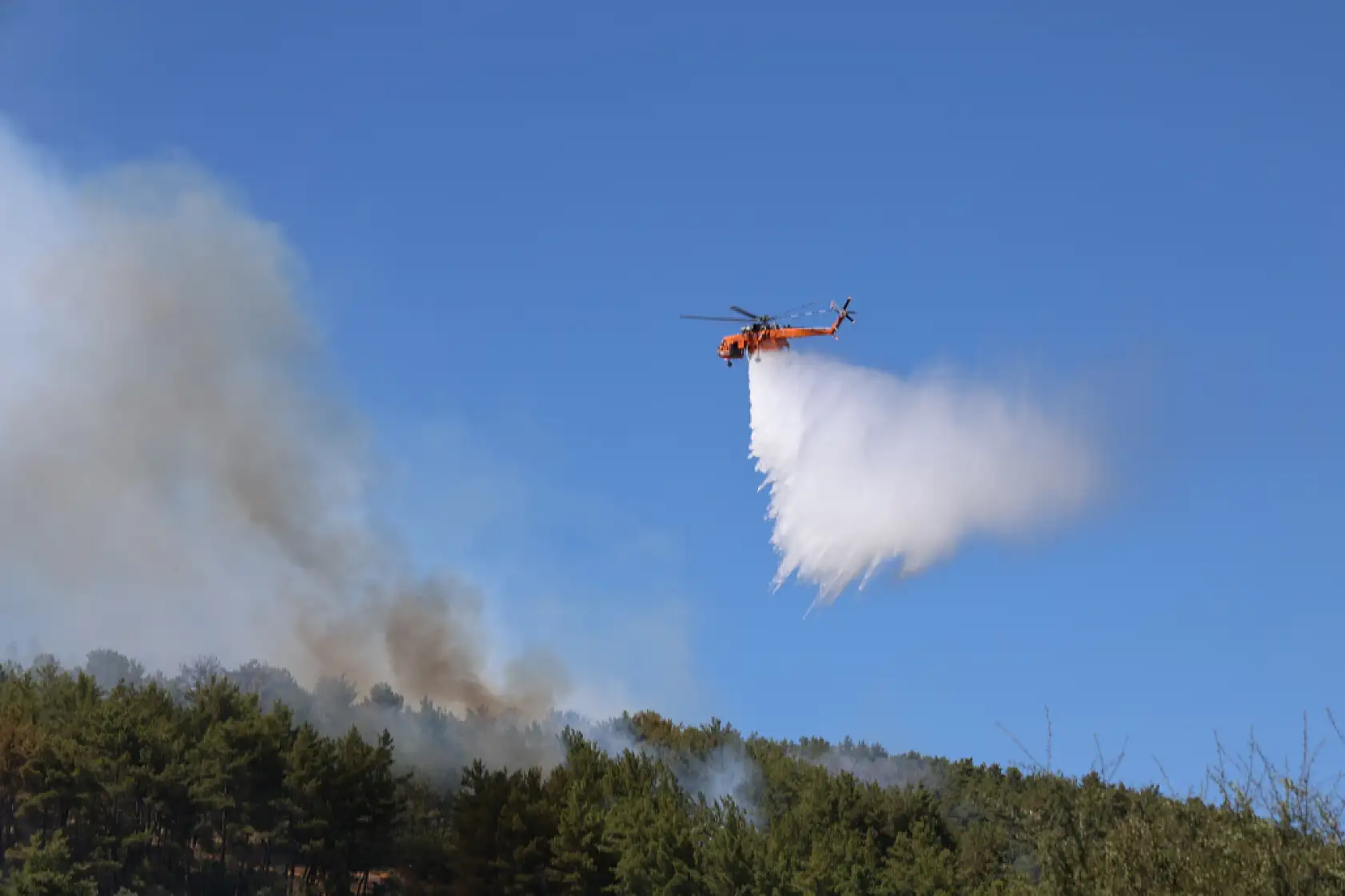 Muğla'daki orman yangını kontrol altına alındı