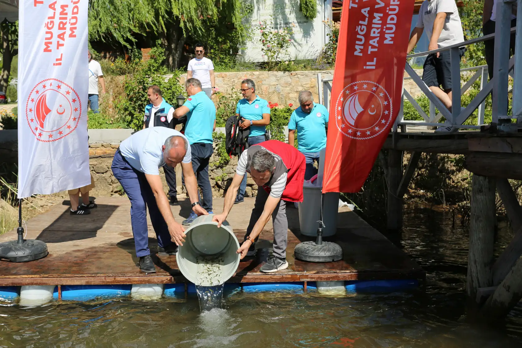 Muğla'da 205 bin sazan yavrusu su kaynaklarına bırakıldı