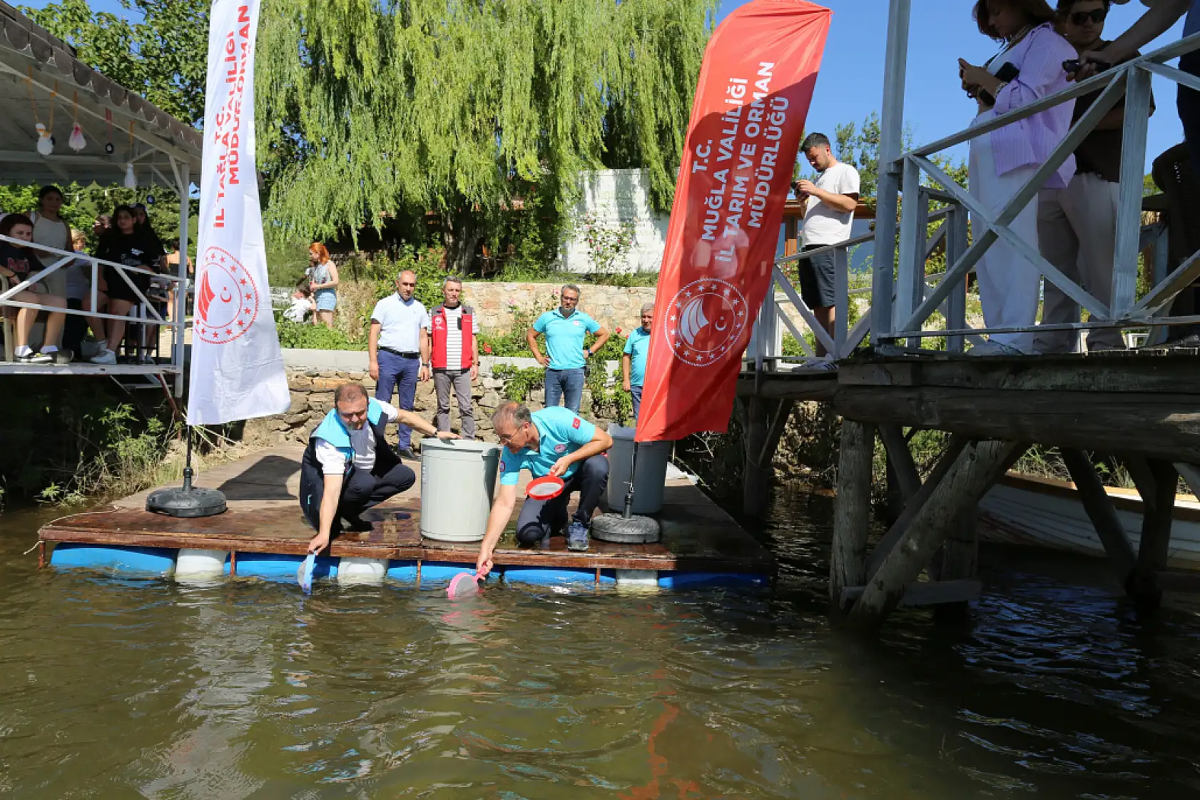 Muğla'da 205 bin sazan yavrusu su kaynaklarına bırakıldı