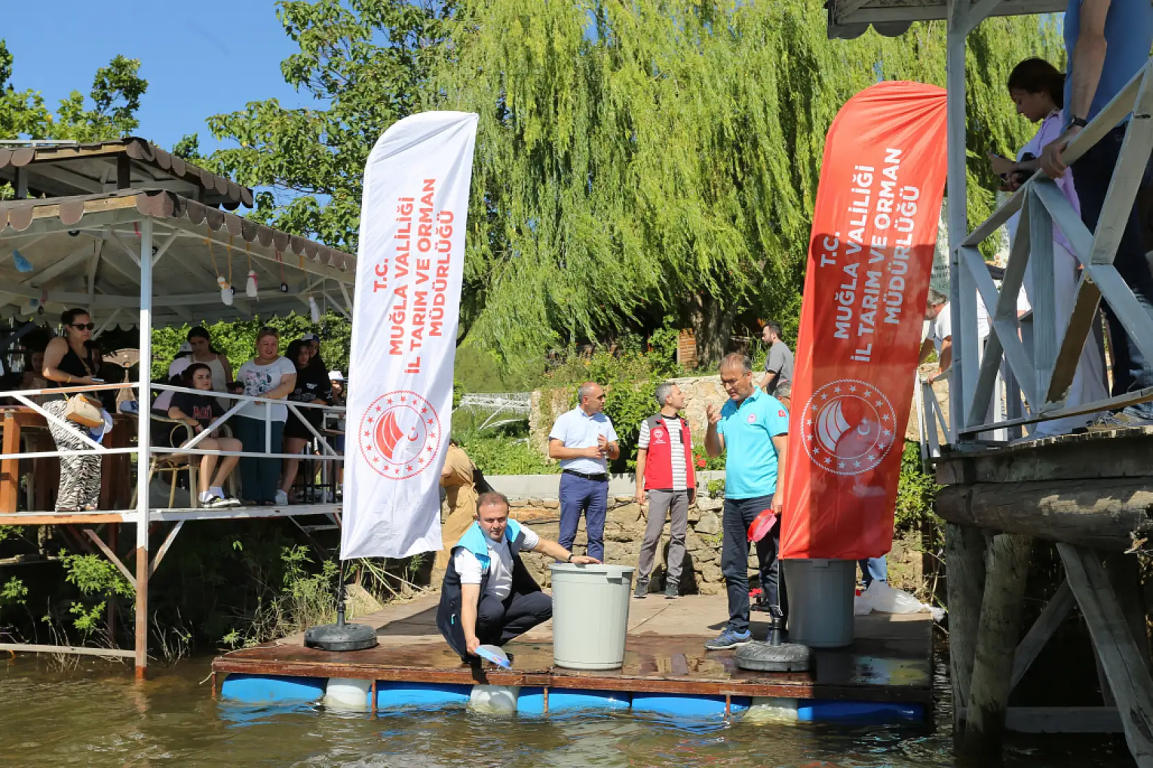 Muğla'da 205 bin sazan yavrusu su kaynaklarına bırakıldı