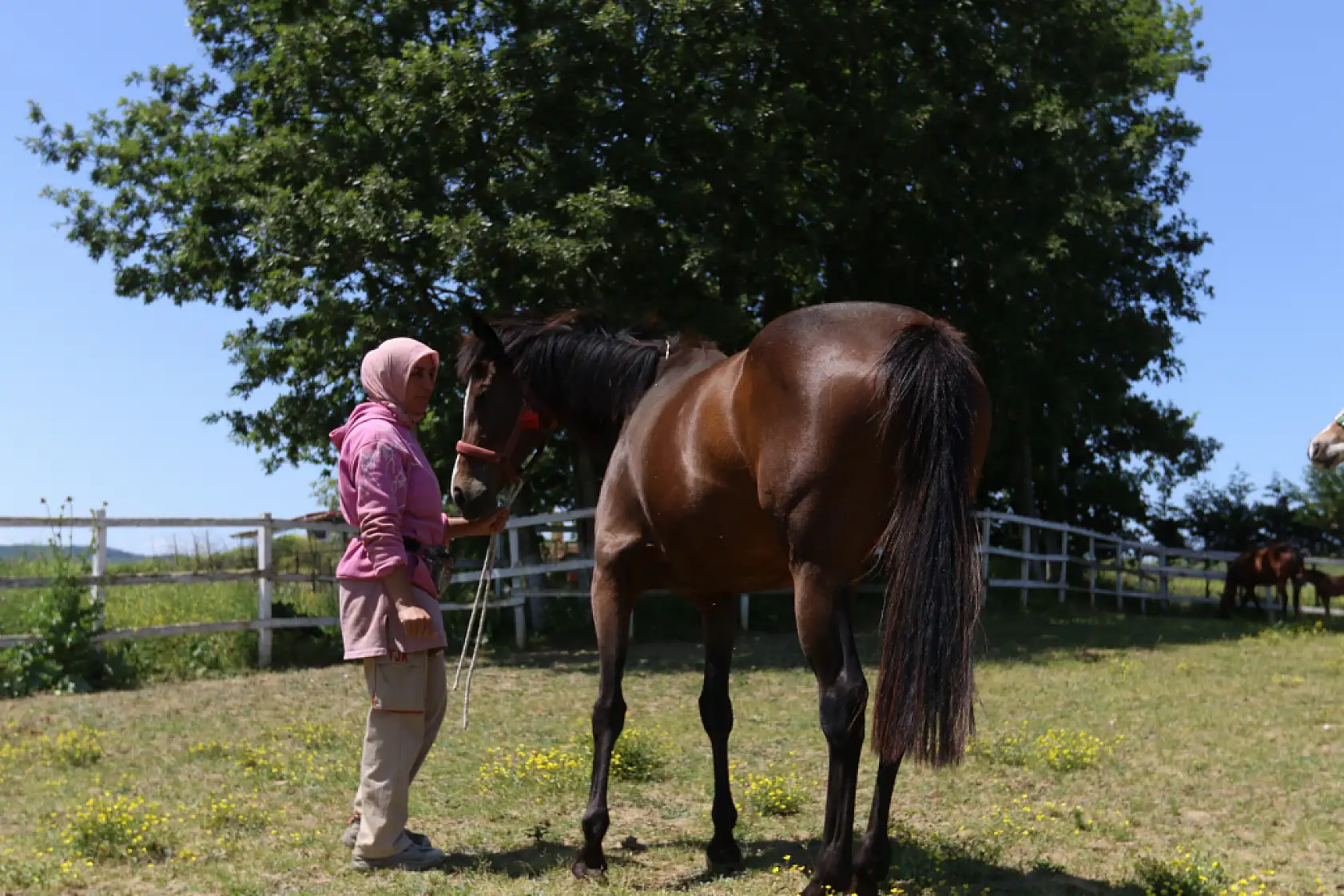 Genetik kodları milyon ediyor