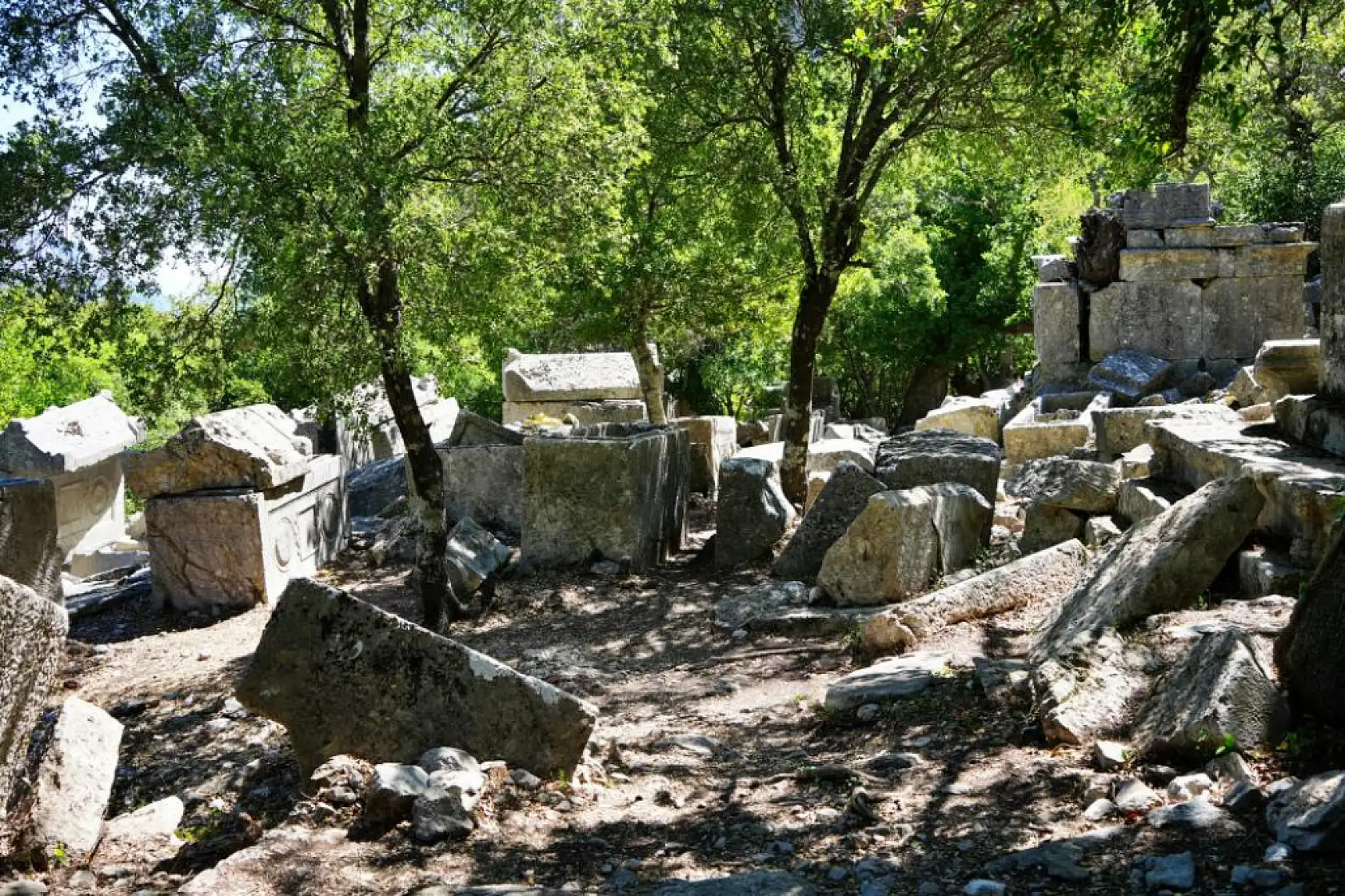 Termessos'ta tarih gün yüzüne çıkıyor: Antik kentte ilk kazı başladı