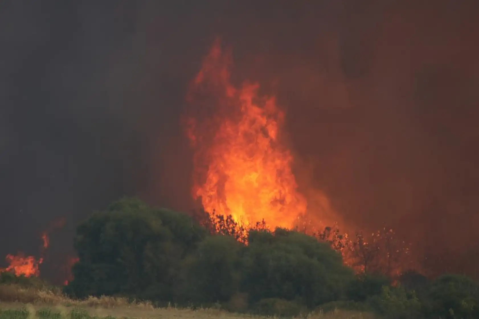 Tekirdağ'da başlayarak Çanakkale'ye ulaşan yangın yeniden alevlendi