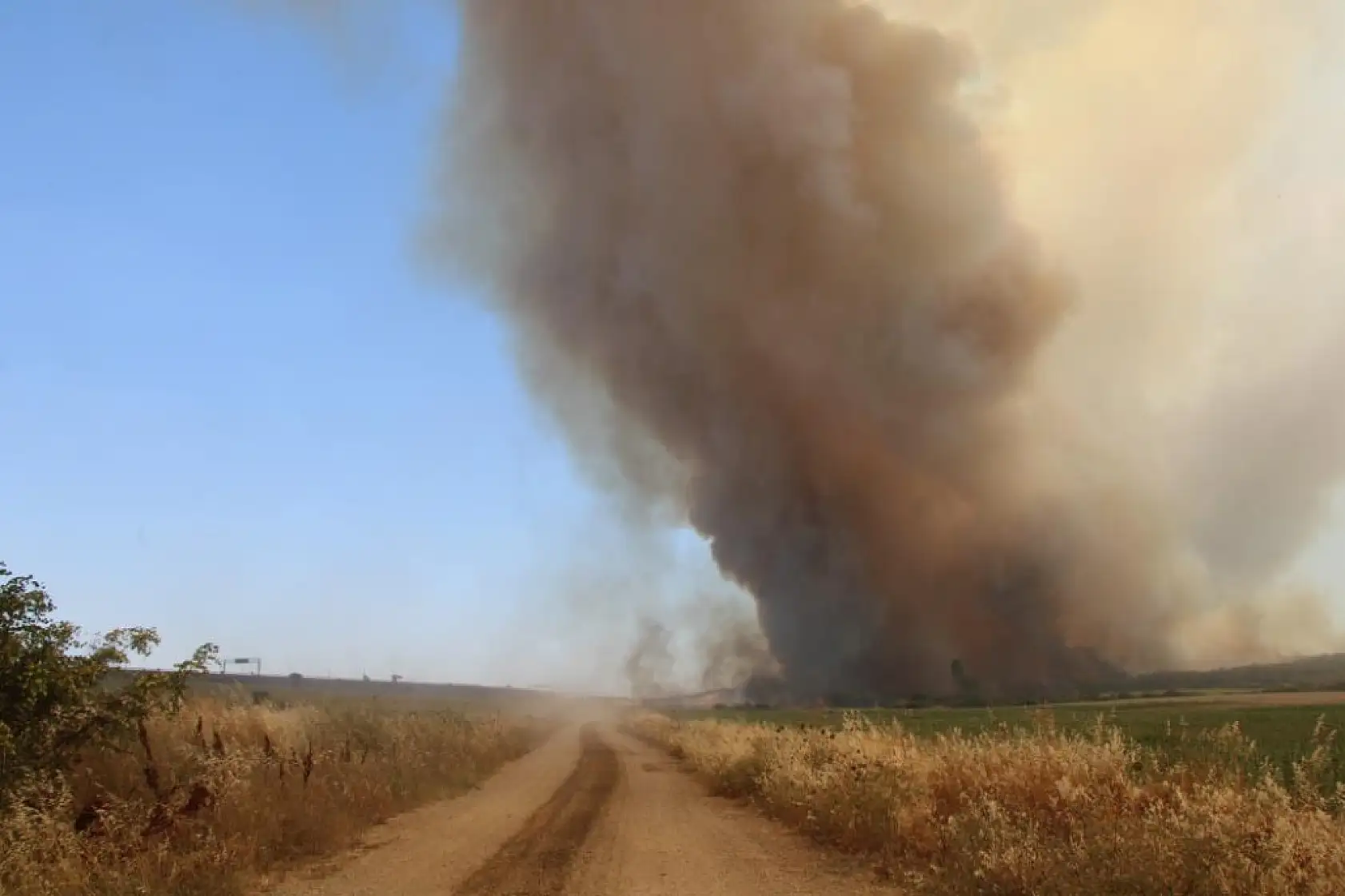 Tekirdağ'da başlayarak Çanakkale'ye ulaşan yangın yeniden alevlendi