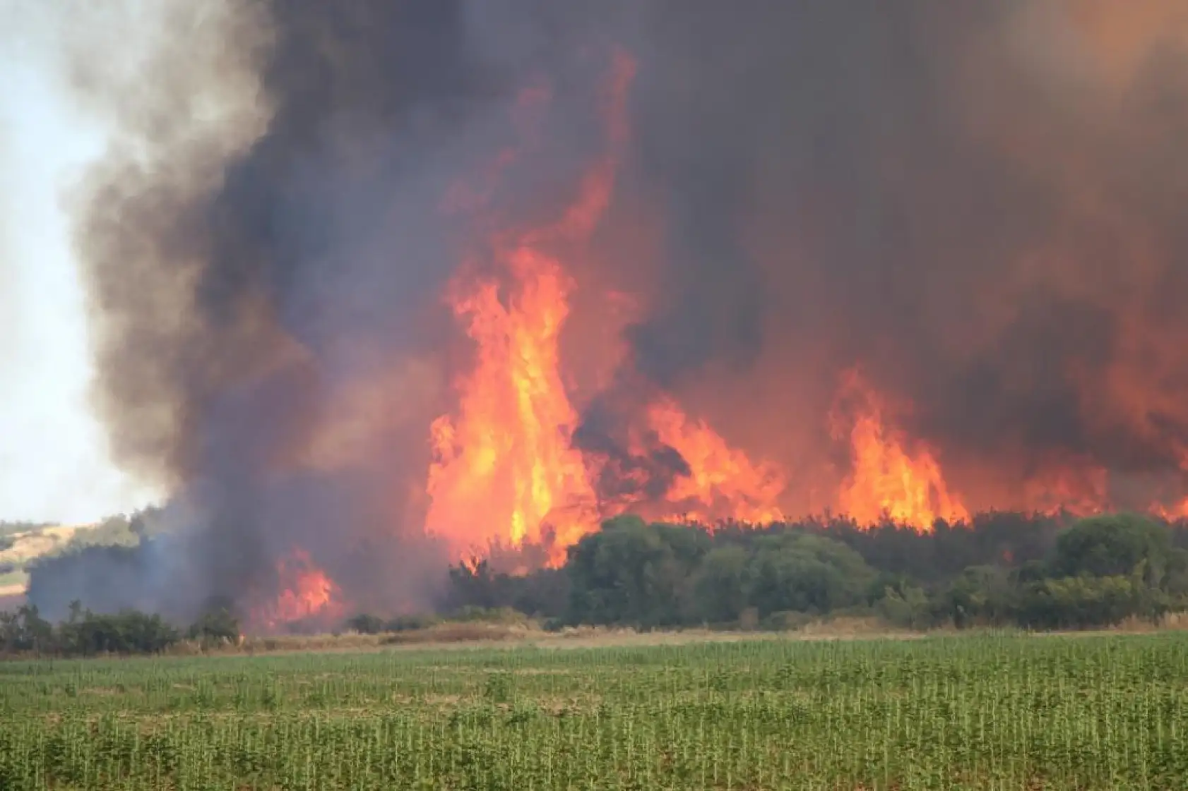Tekirdağ'da başlayarak Çanakkale'ye ulaşan yangın yeniden alevlendi