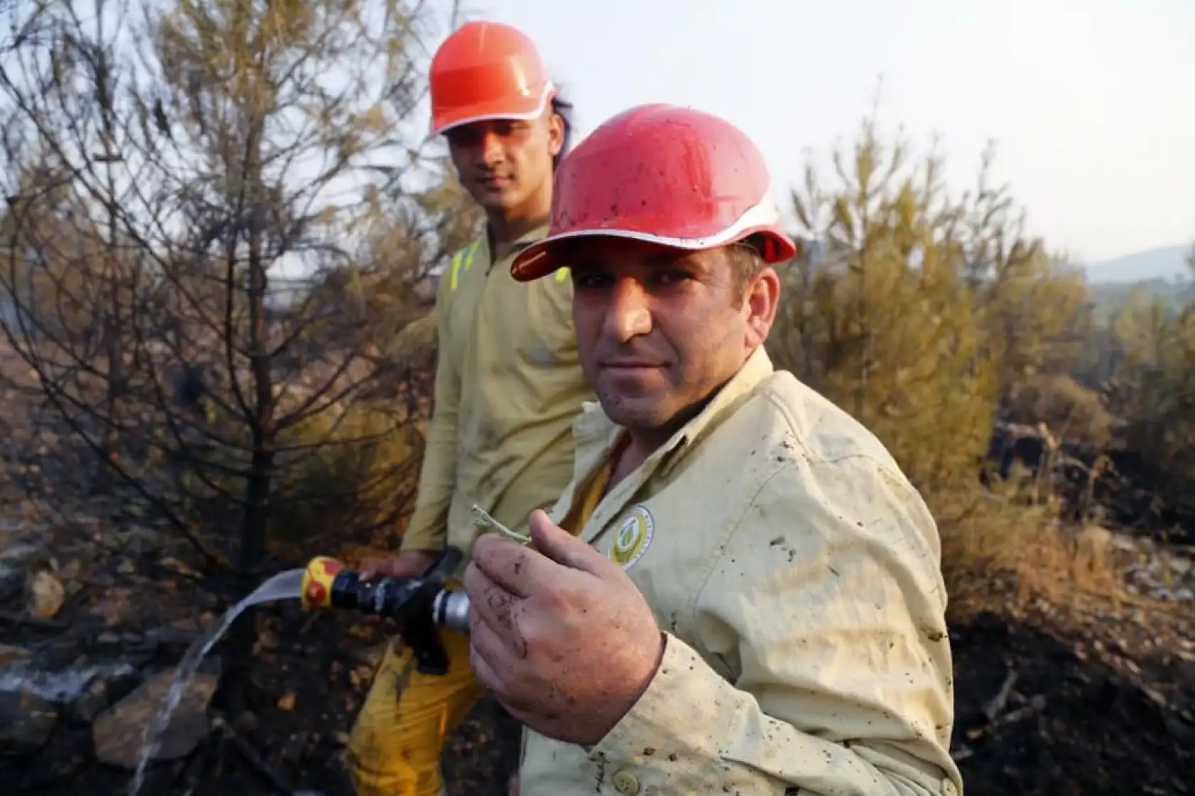 Yatağan'da Yangından Kaçan Çekirge ve Peygamber Devesi İşçinin Sırtına Sığındı