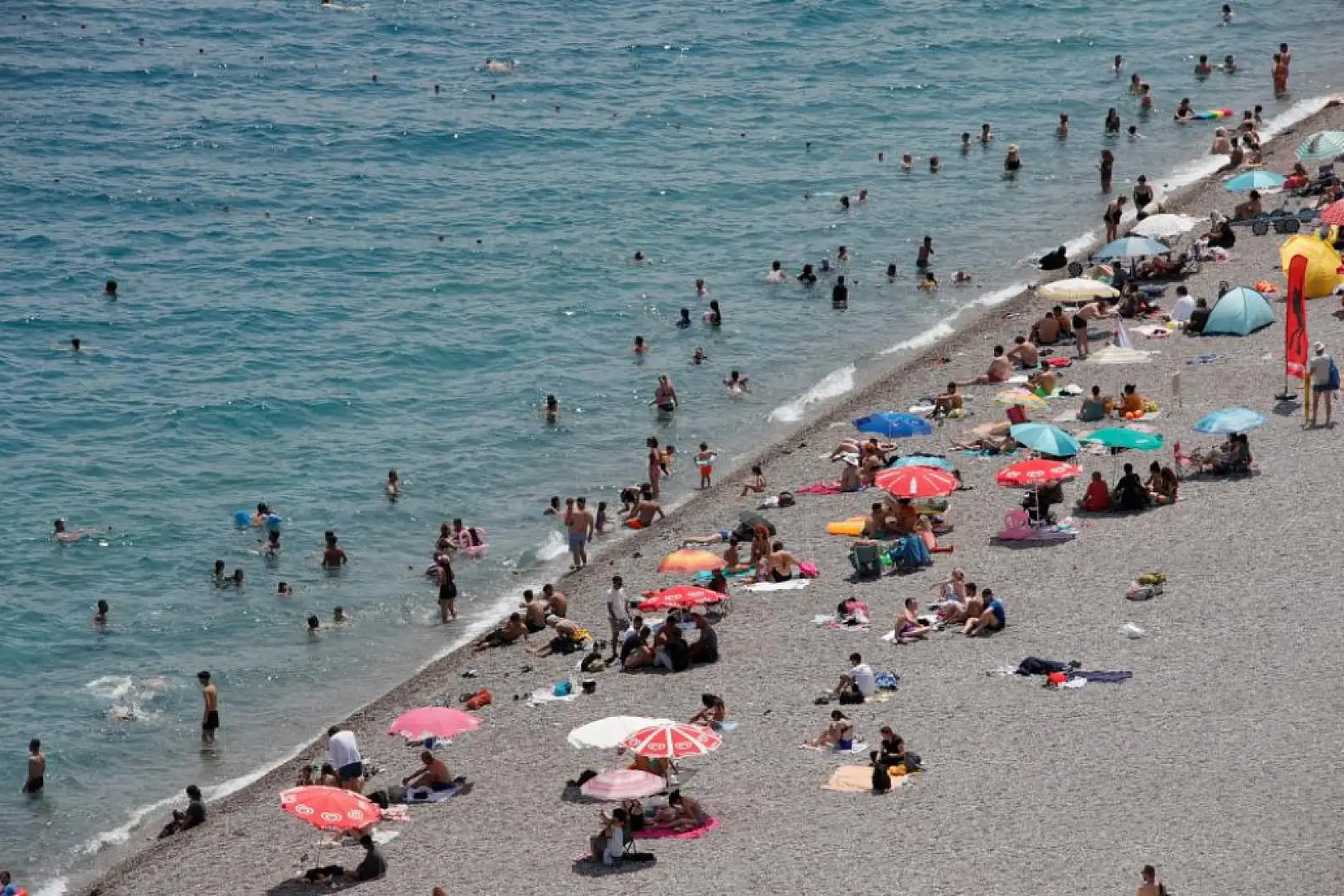 Uzman isim Caretta caretta ısırma vakalarının sebebini açıkladı