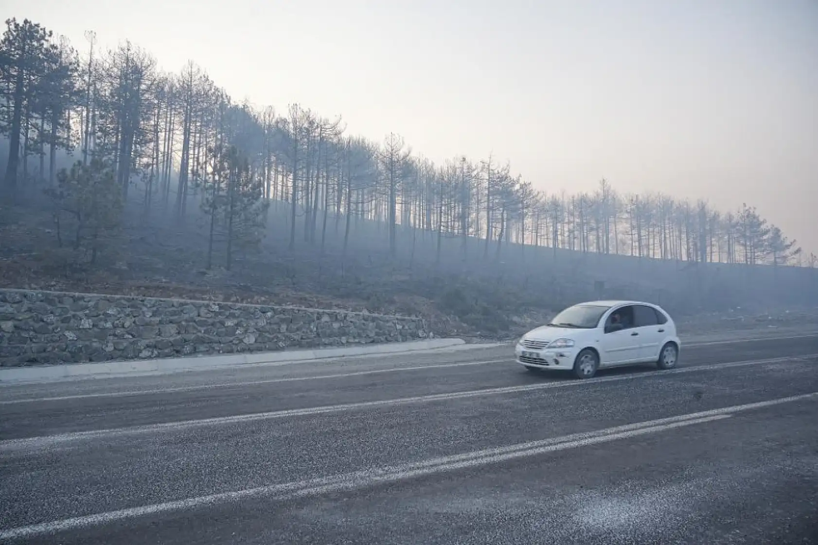 Bursa'daki orman yangını 3. gününde... Gökyüzünü kaplayan duman bulutundan göz gözü görmüyor