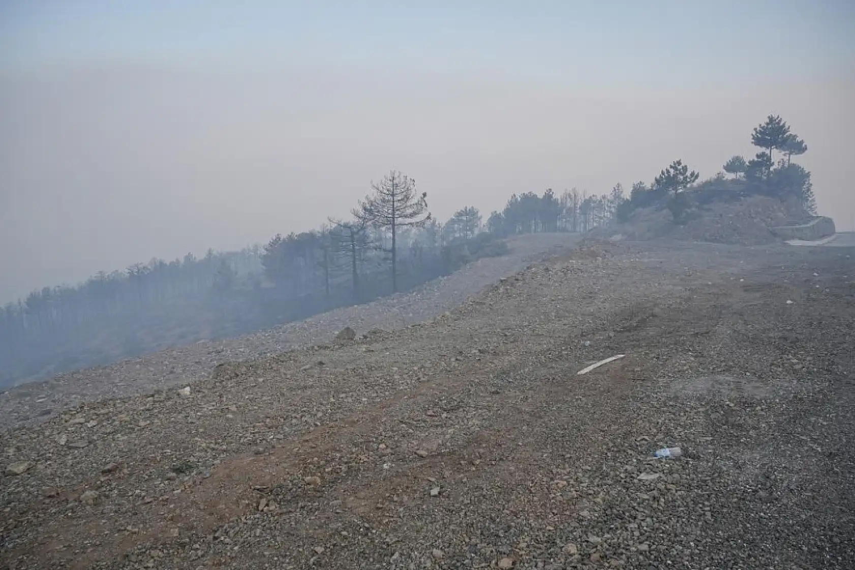 Bursa'daki orman yangını 3. gününde... Gökyüzünü kaplayan duman bulutundan göz gözü görmüyor