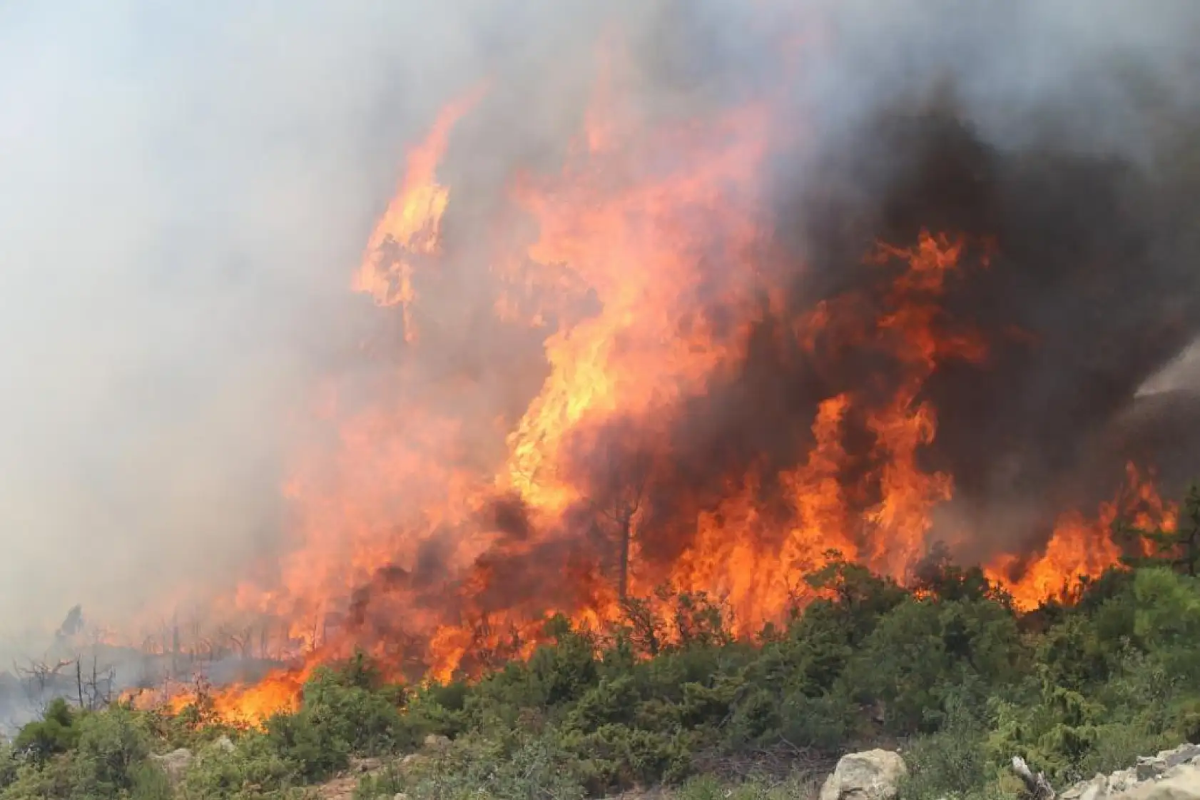 Bursa'da alevler tekrar yükseldi