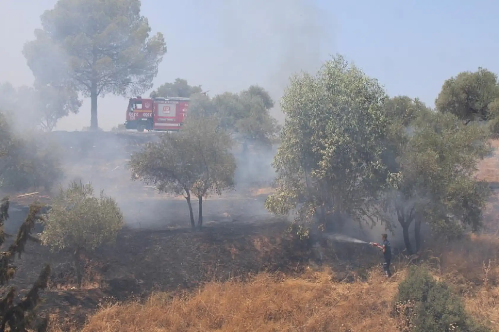 Havaya ateş açan şahıslar yangına sebep oldu
