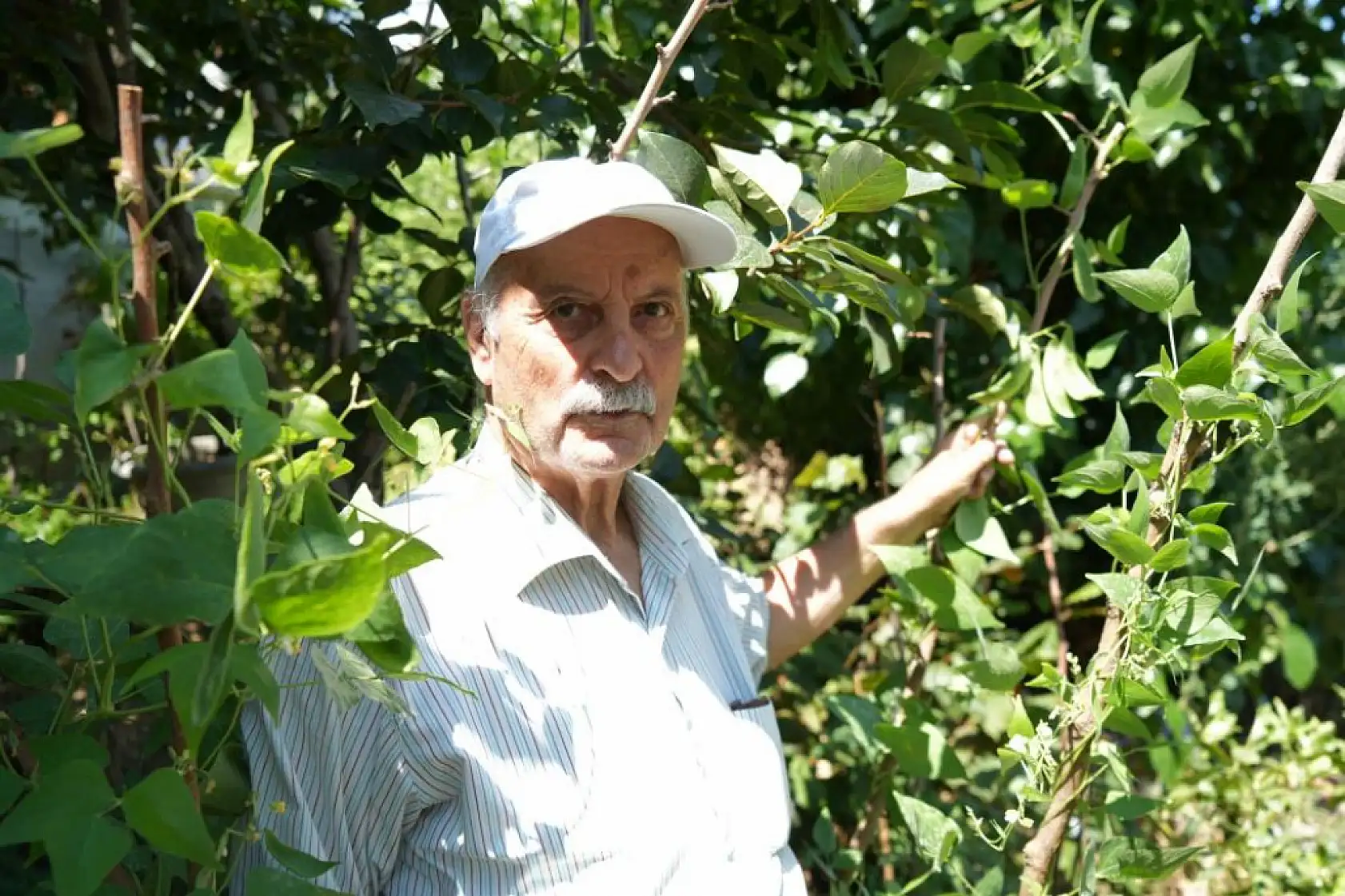 Emekli Öğretmen 50 Ülkeden Topladığı Tohumlarla Tropikal Bahçe Kurdu