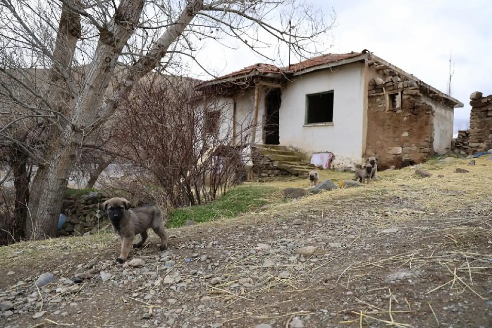 Cinlerin sardığı söylentisi sonrası terk edilen köyde sabahlamak istedi, besmeleler çekerek terk edilmiş evlere girdi