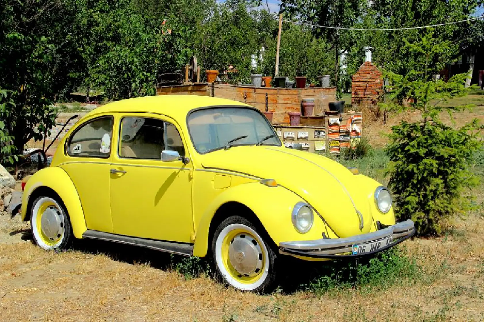 Eşiyle El Ele Hayalini Kurdu, Şimdi Herkesin Gözdesi Oldu