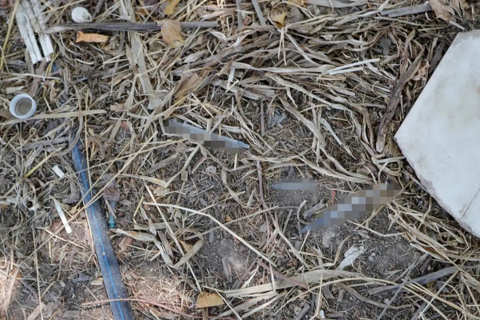 Mezarlıkta uyuşturucu satışını fark eden muhtar gece görüş ve sesli uyarı sistemli kamera sistemi kurdu