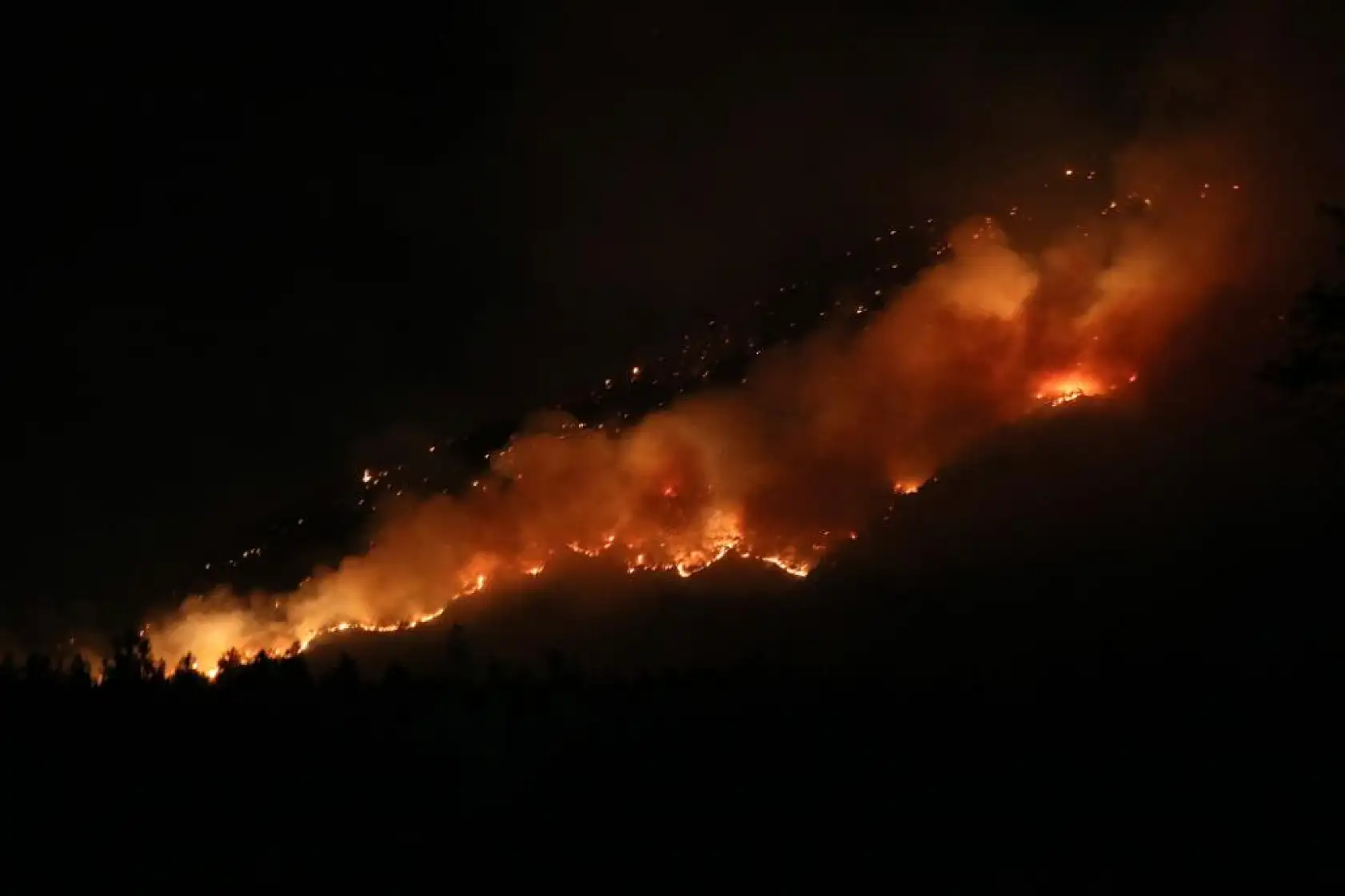 Denizli'de orman yangınına gece karadan müdahale sürüyor