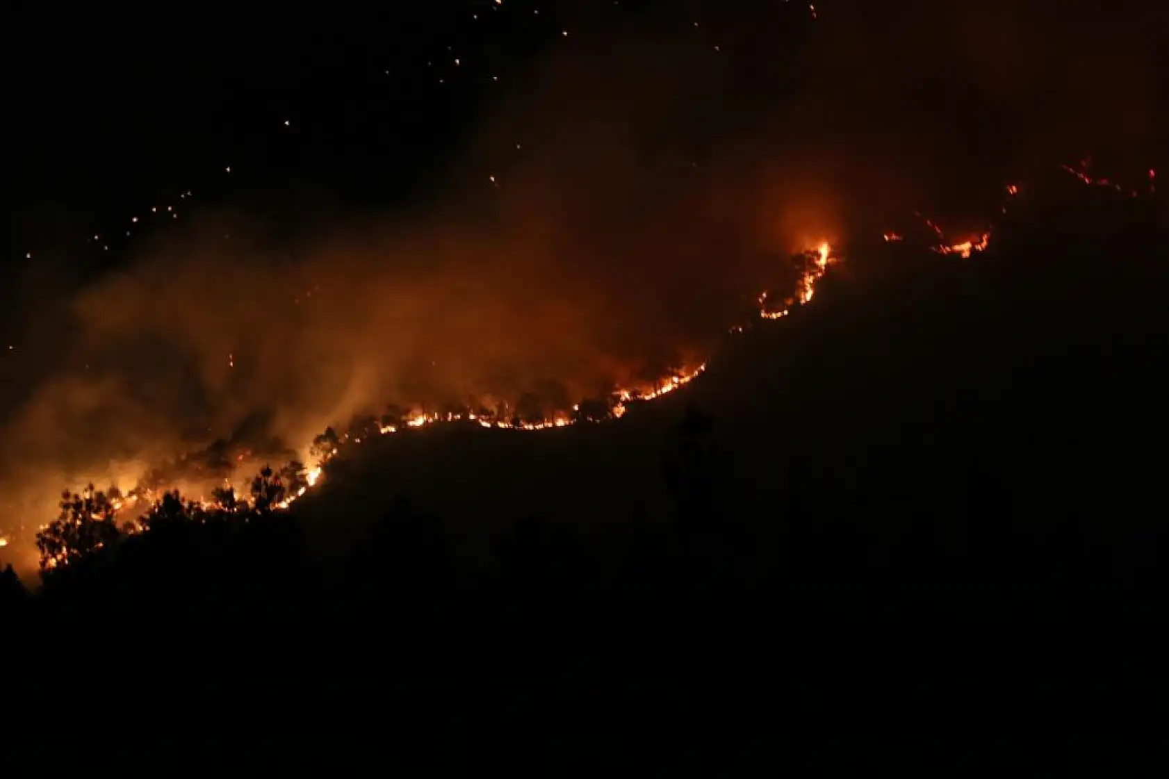 Denizli'de orman yangınına gece karadan müdahale sürüyor
