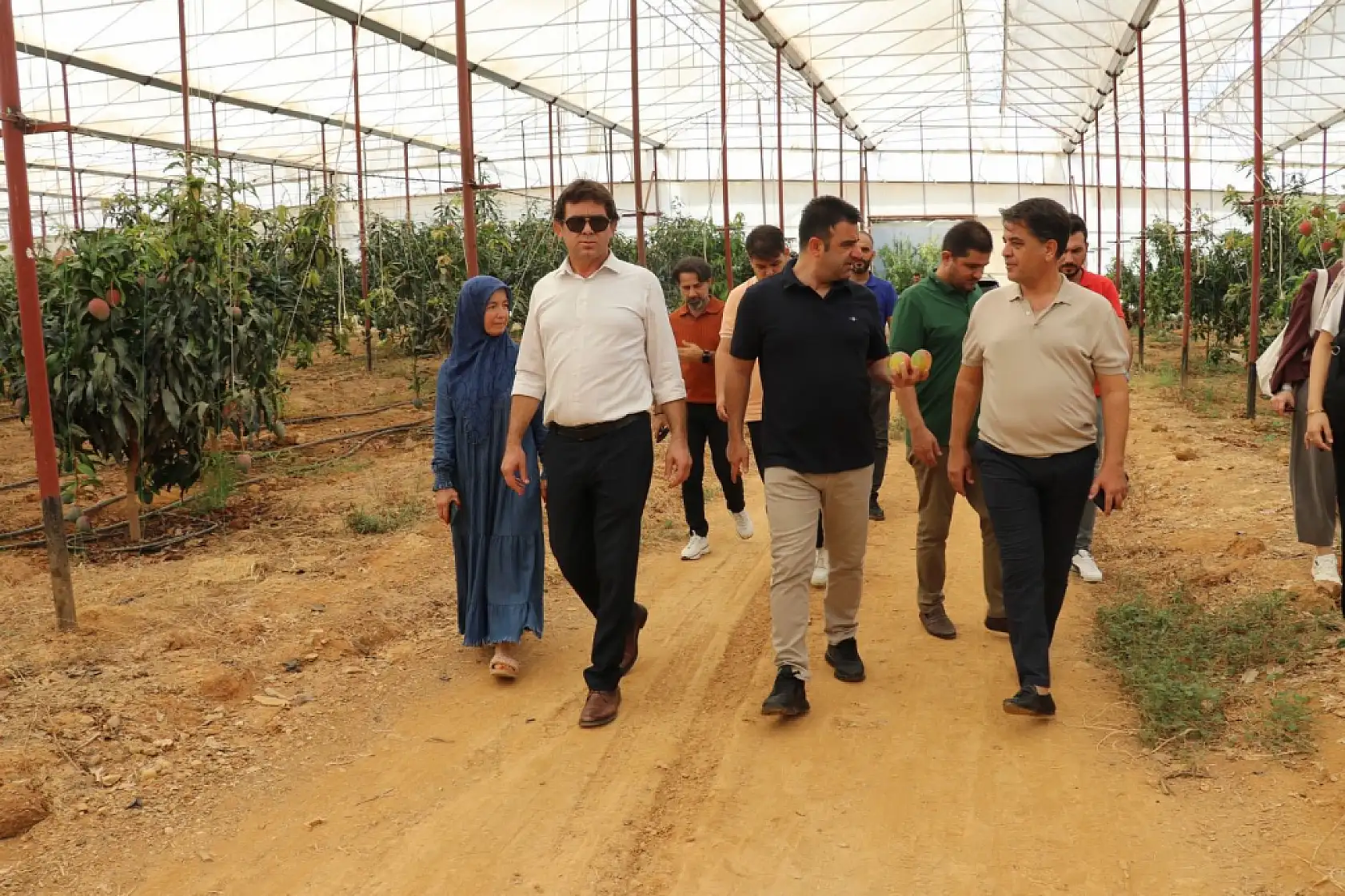 30 yıl önce deneme amaçlı ilk fidan dikildi, bugün 300 dönümden fazla alanda üretiliyor