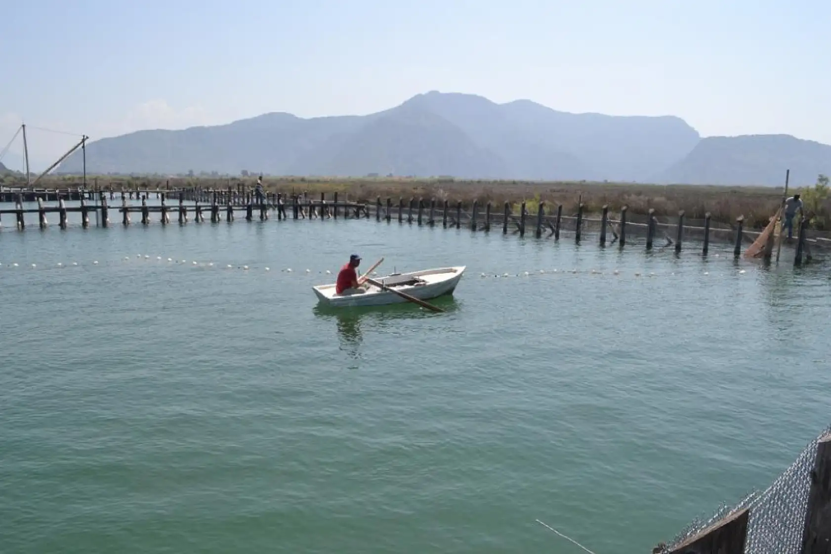 Muğla'da havuzlar açılmadı, tonlarca balık telef oldu iddiası