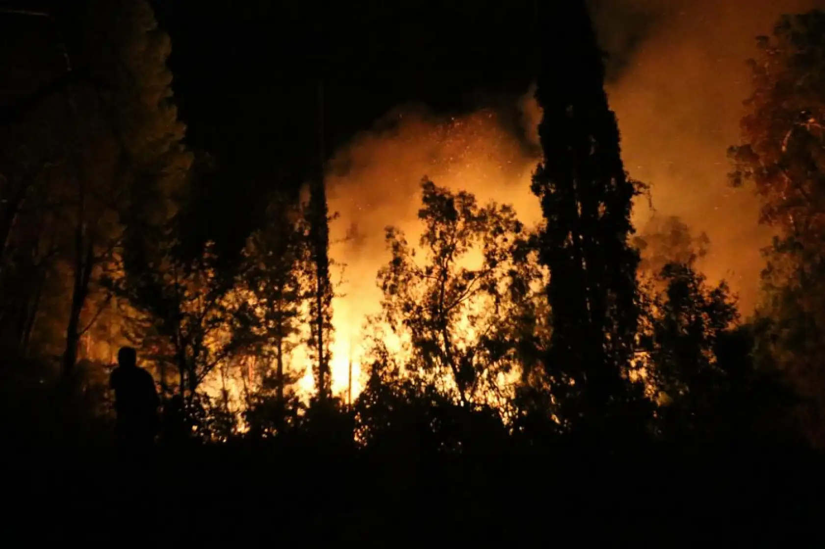 Antalya'da ormanlık alanda büyük yangın