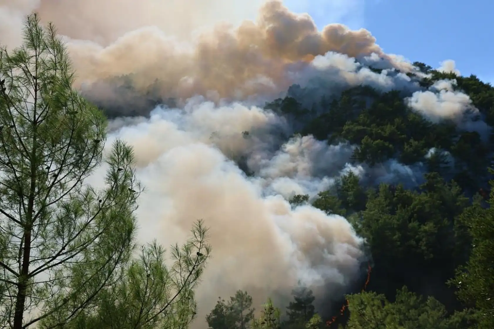 Muğla'da alev savaşçılarının en büyük rakibi rüzgâr
