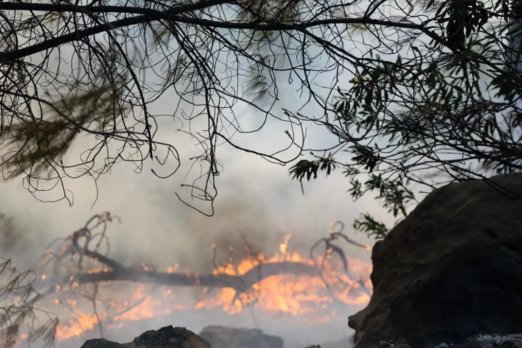 Muğla'da alev savaşçılarının en büyük rakibi rüzgâr