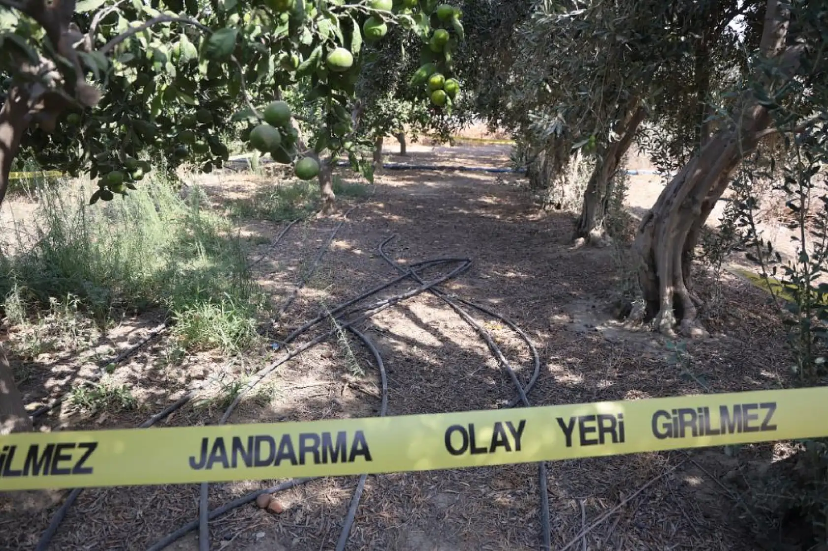 Para için arkadaşını narenciye bahçesinde satırla doğrayan şahıs yakalandı