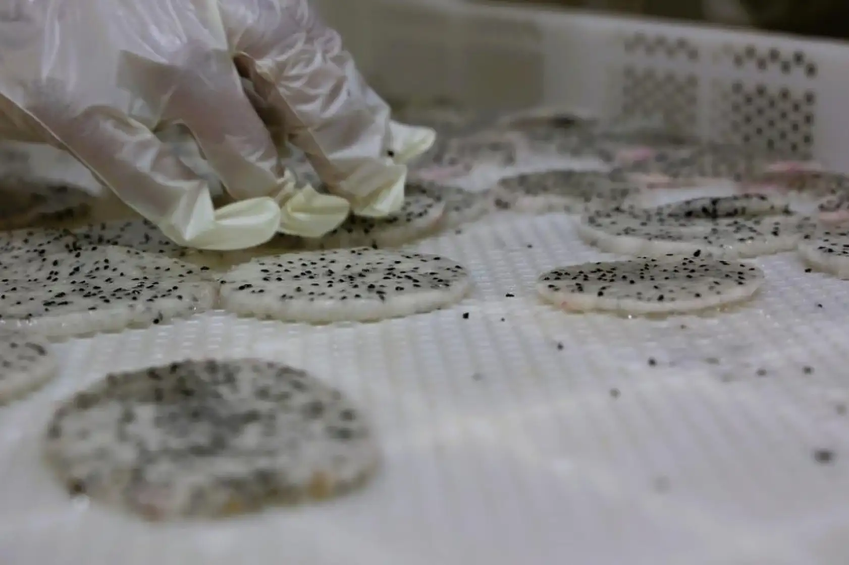 Ejder meyvesi en çok kurutulan ürünler arasına girdi