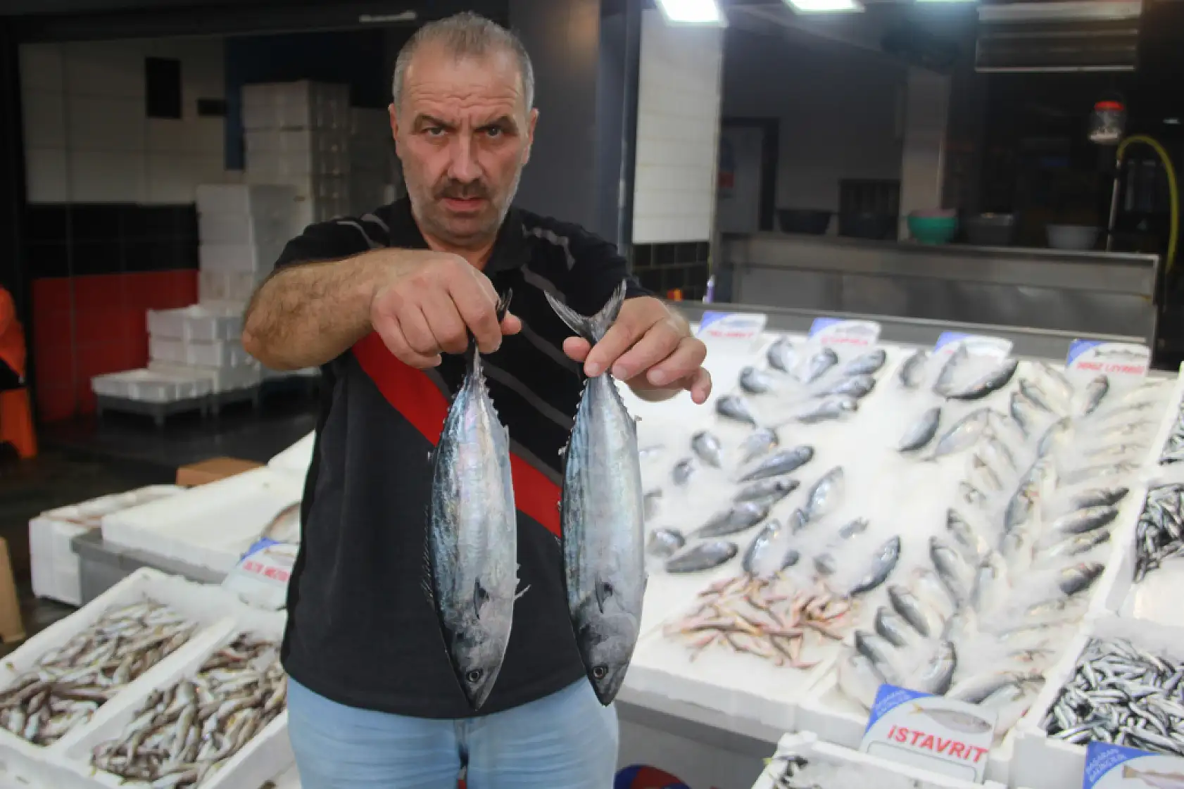 Tezgahların gözdesi 'hamsi'