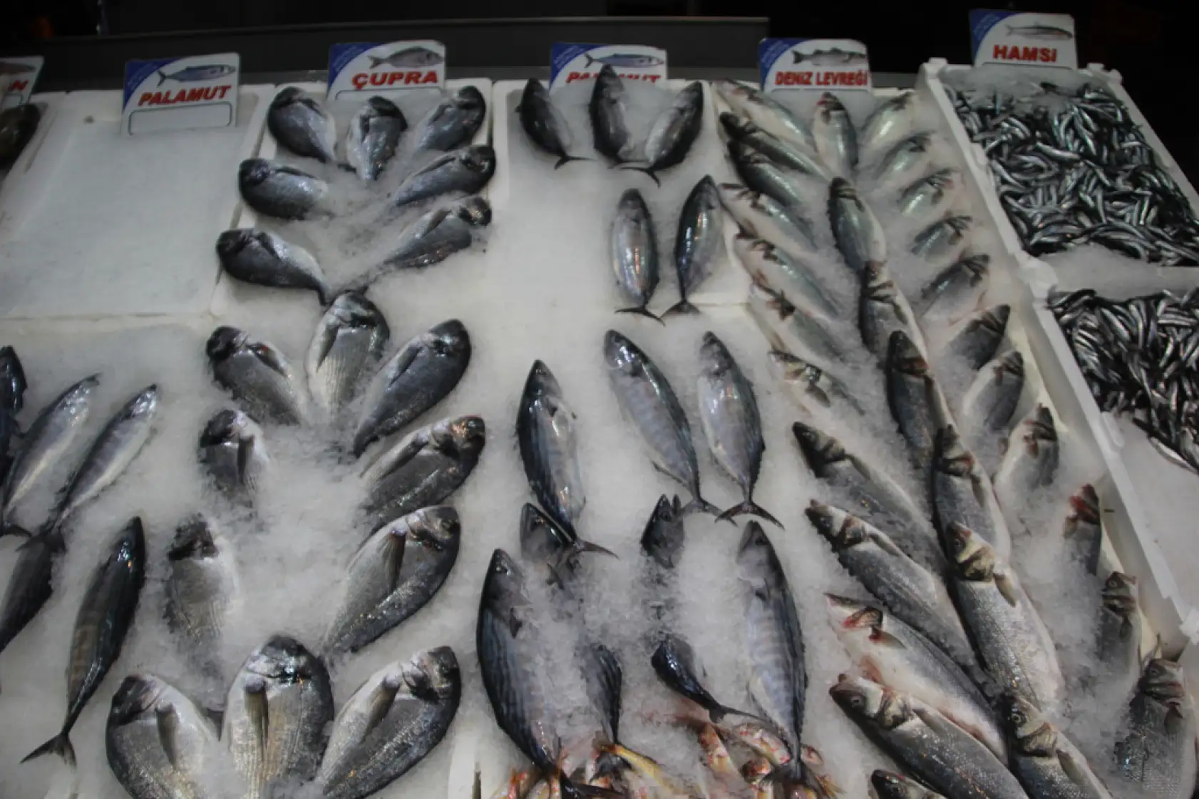Tezgahların gözdesi 'hamsi'