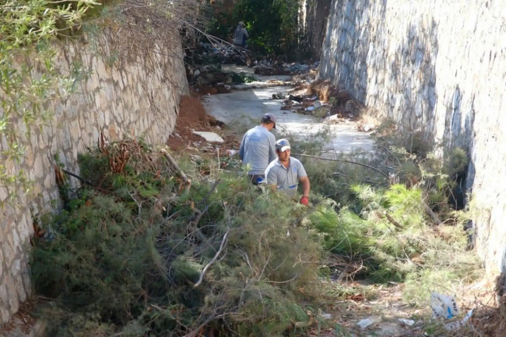 Belediye ekiplerinden derelerde temizlik çalışmaları