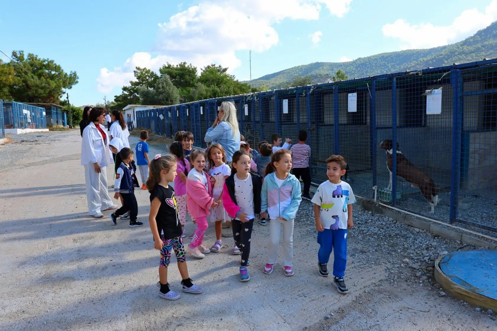 Bodrum Belediyesi sokaklardaki dostlarının yanında