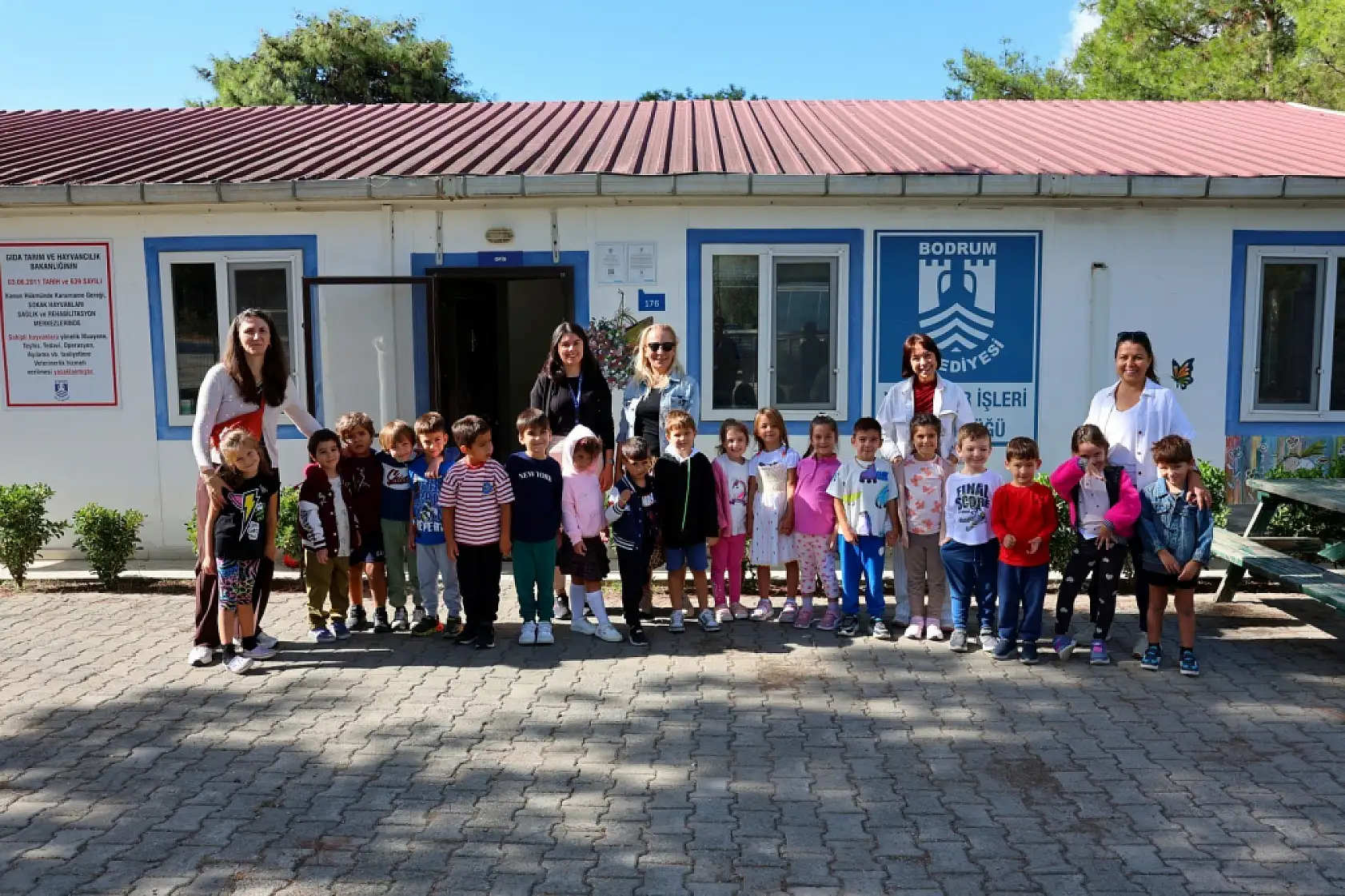 Bodrum Belediyesi sokaklardaki dostlarının yanında