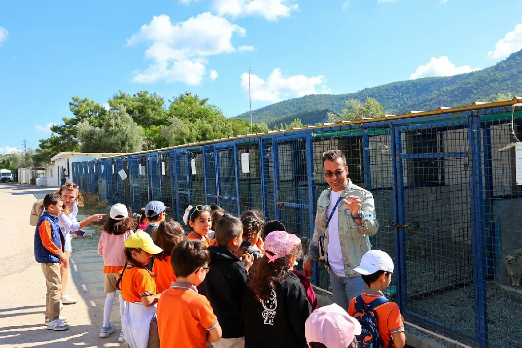 Bodrum Belediyesi sokaklardaki dostlarının yanında
