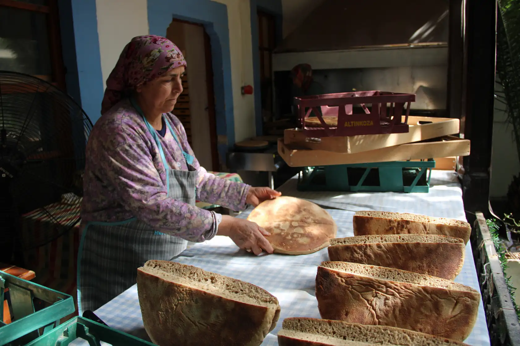 Gastro Muğla'da organik üretim ve eğitim için yeni adım