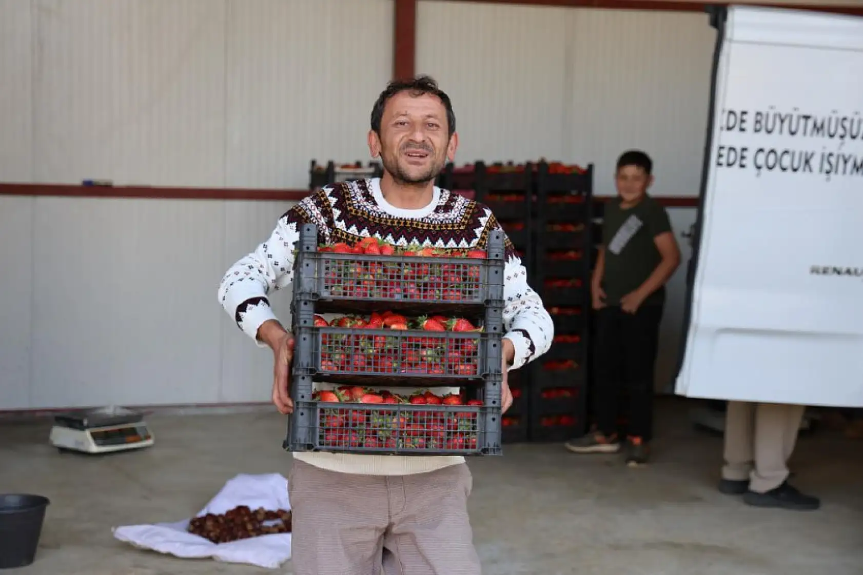 Aydın'dan İspanya'ya kadar ihraç ediliyor