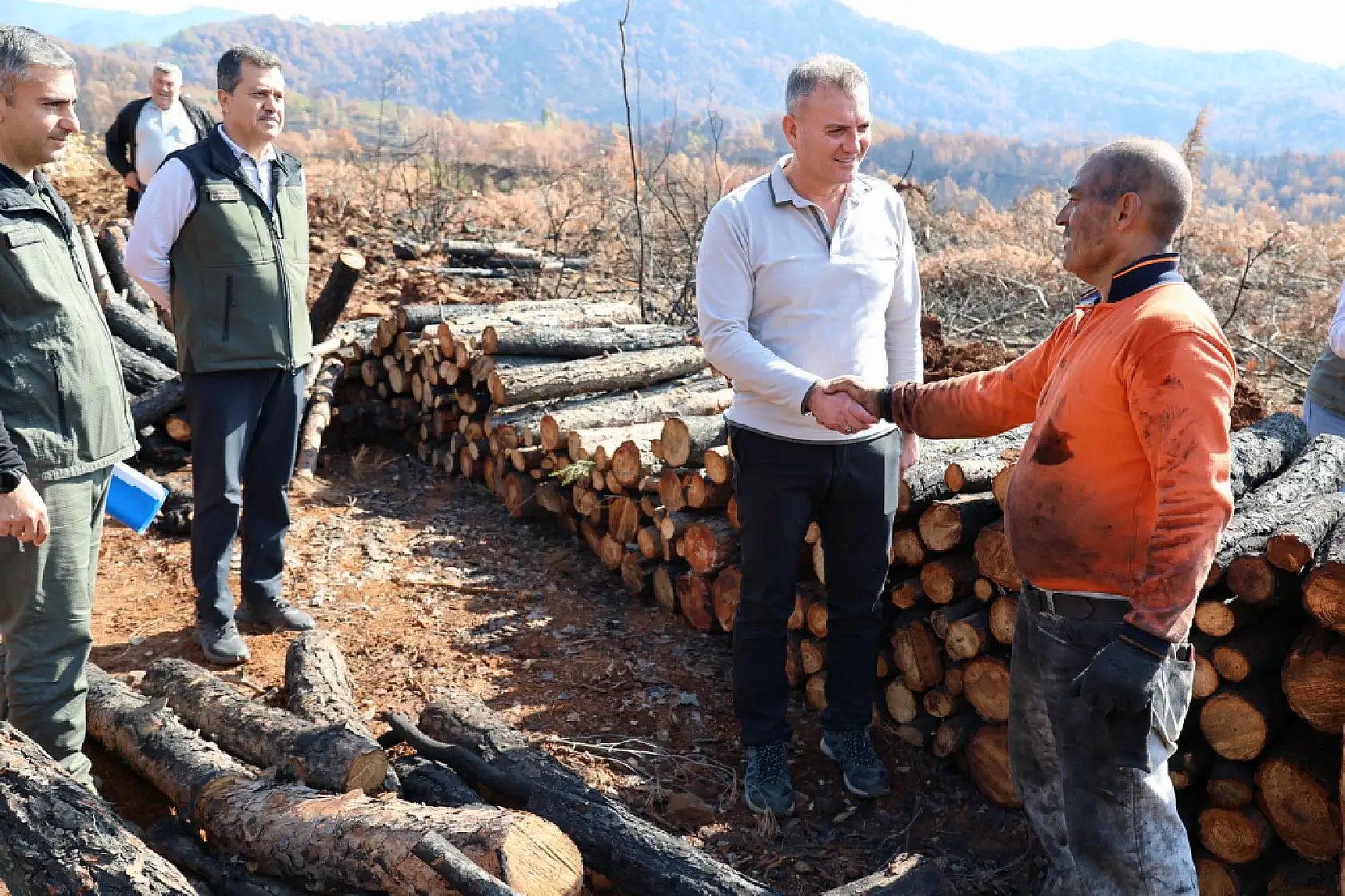 Köyceğiz'de yanan sahalar fidan dikimi için hazırlanıyor