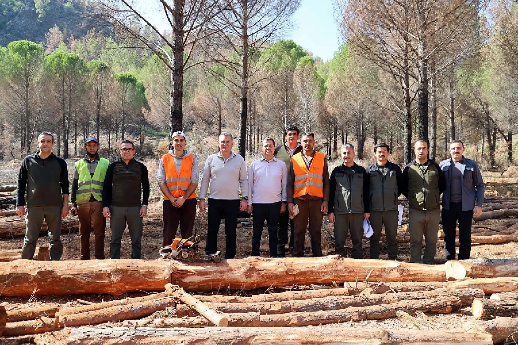 Köyceğiz'de yanan sahalar fidan dikimi için hazırlanıyor