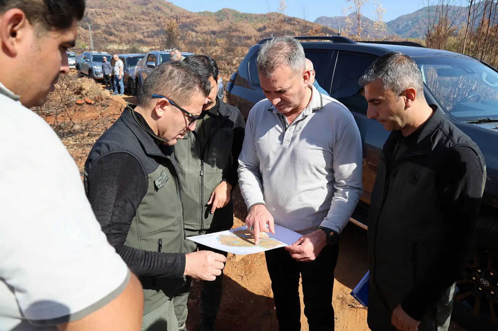 Köyceğiz'de yanan sahalar fidan dikimi için hazırlanıyor