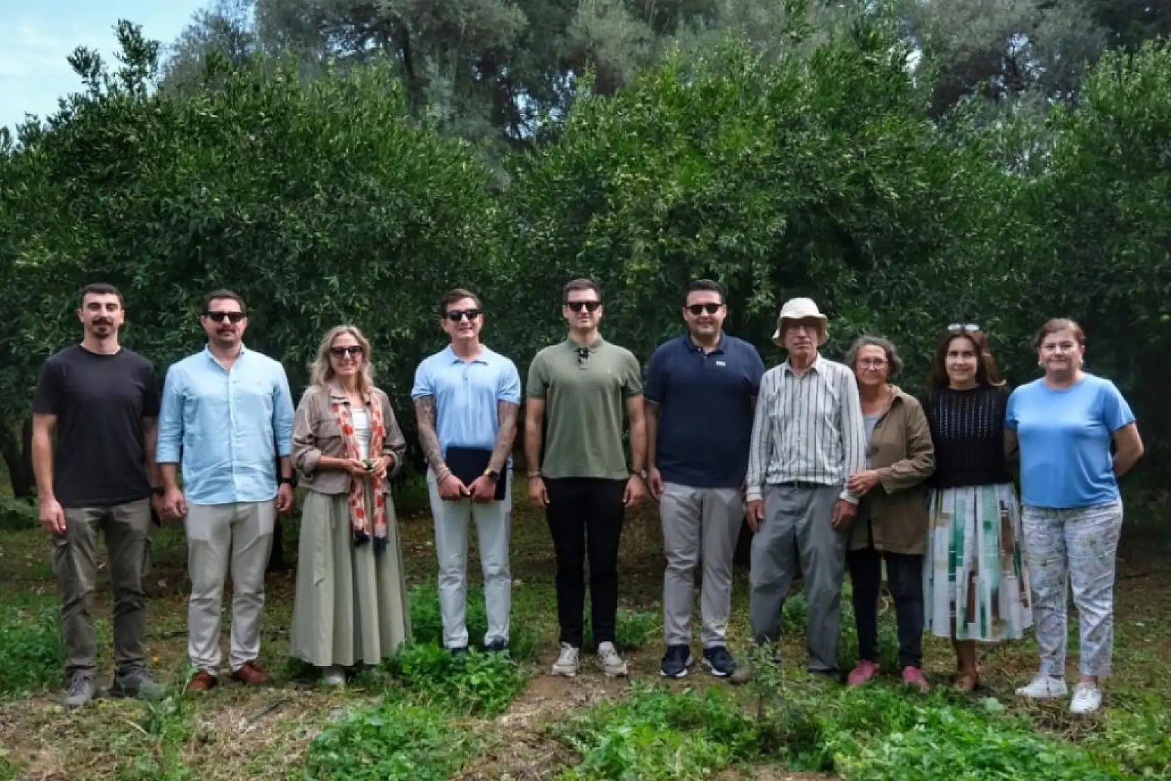 Bodrum'da 72 üreticiden 55 ton yeşil mandalin alındı