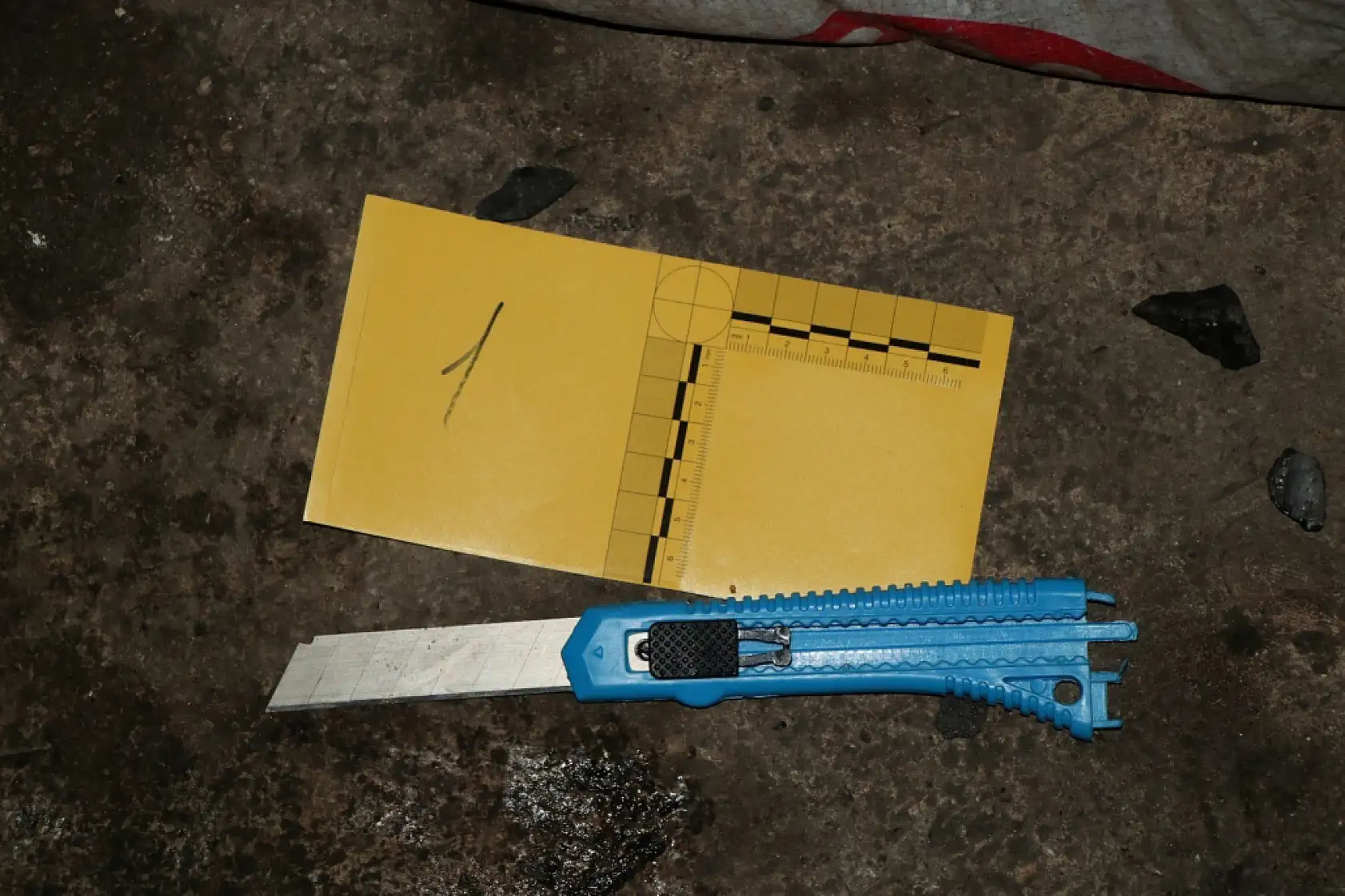 1,5 yaşındaki çocuğun boğazını falçata ile kesip yangın çıkaran sanığa 21 yıl hapis cezası verildi