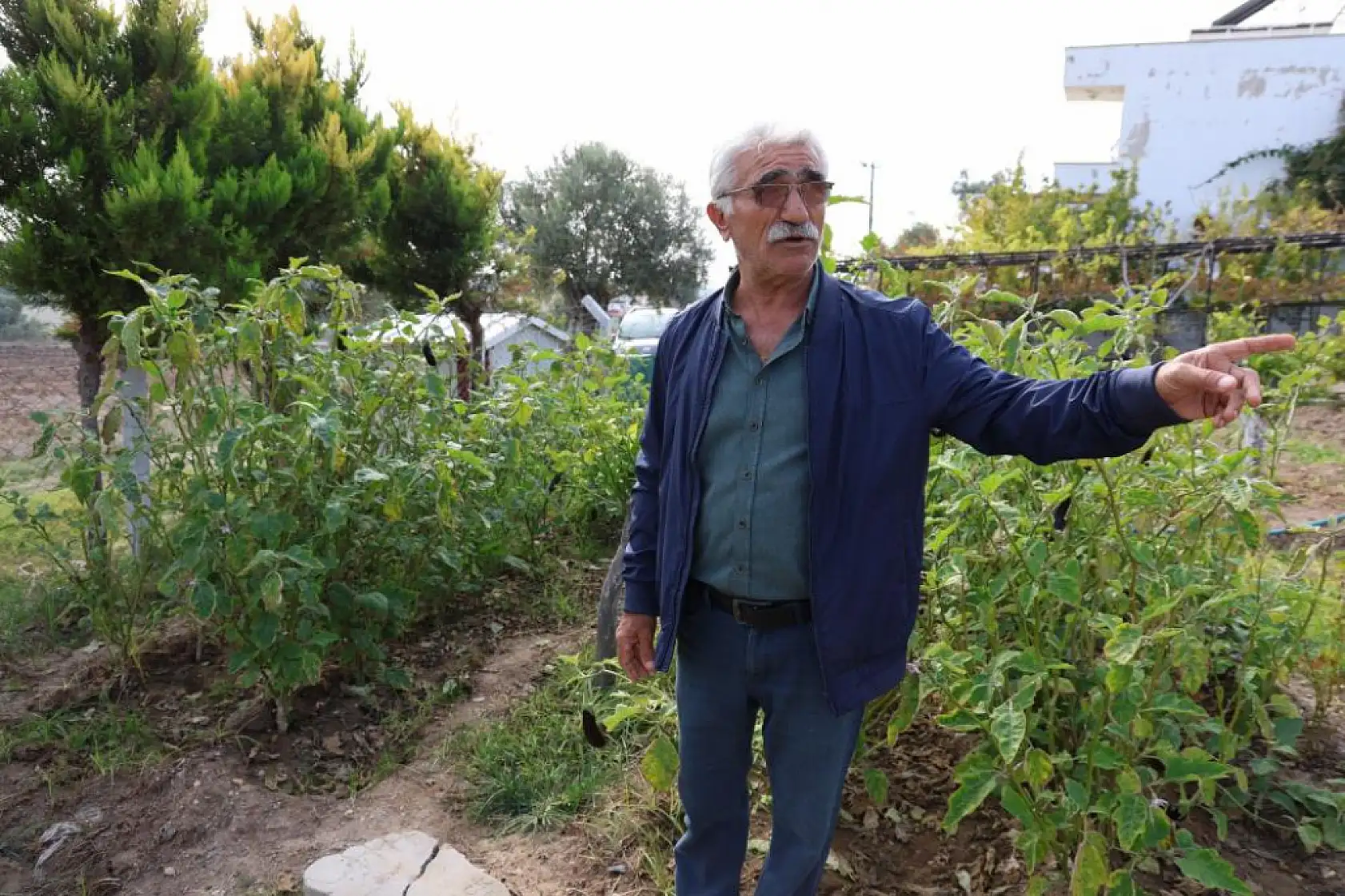 Keçileri ile tatil yapıyor