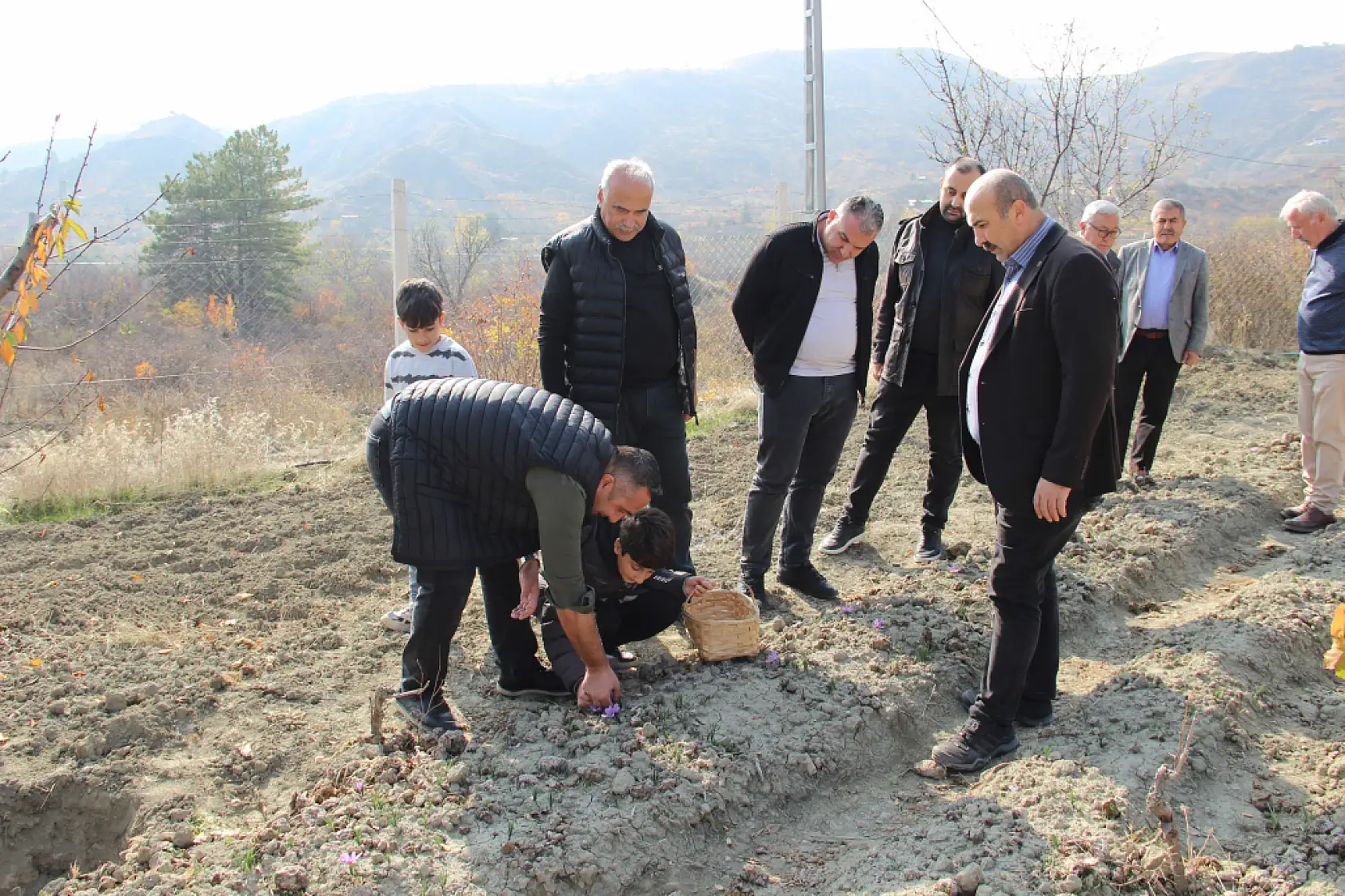 Denemek için ekti, 250 metrekarelik tarlasında dünyanın en pahalı baharatını yetiştirdi