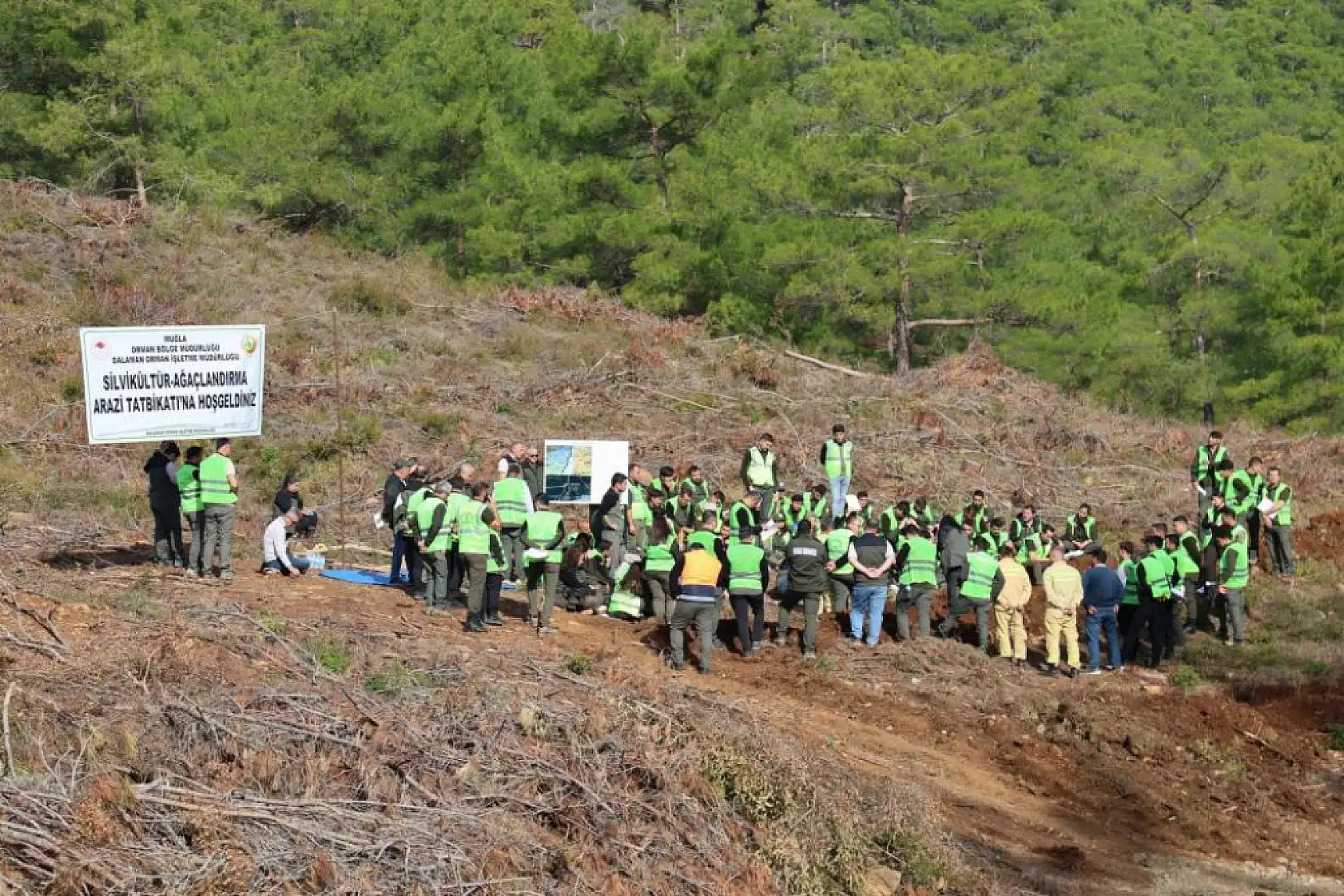 Muğla'da ormanların geleceği için eğitim seferberliği