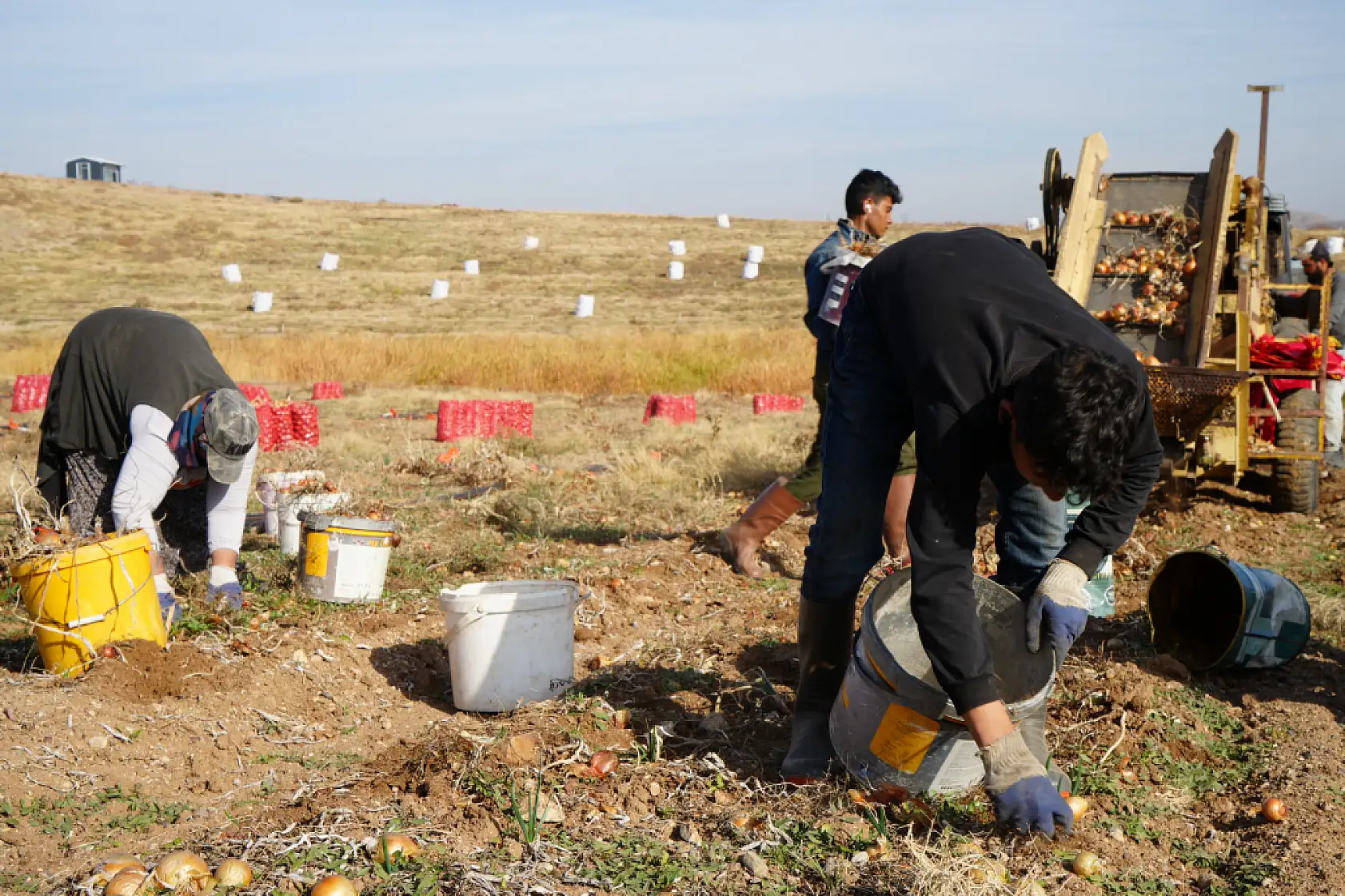 Kuraklık riski büyüyor, çiftçiden uyarı: 'Suyu dikkatli kullanmazsak ekmeğimizi kaybederiz'