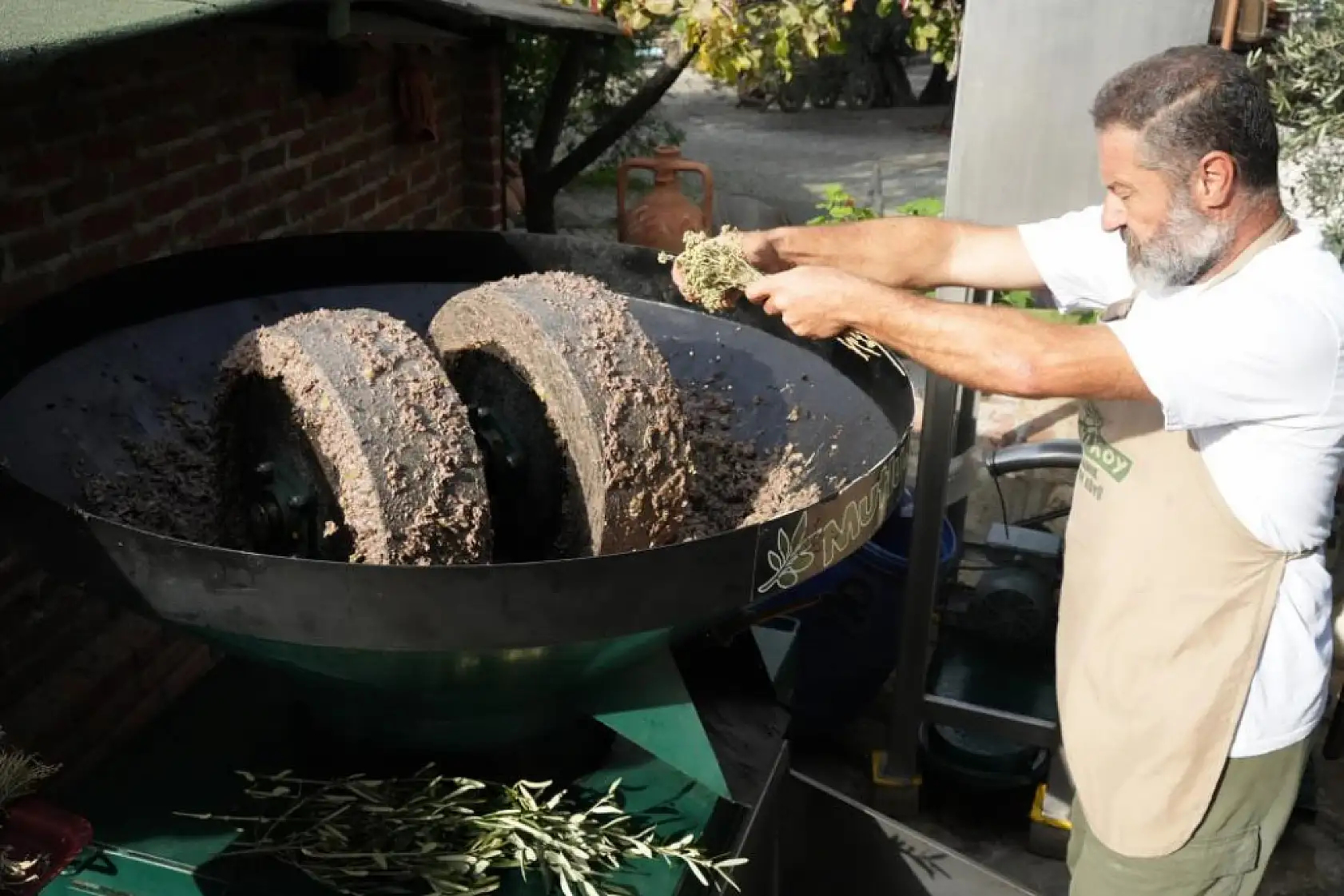 Kekikli Zeytinyağı Üretimi Yoğun İlgi Görüyor