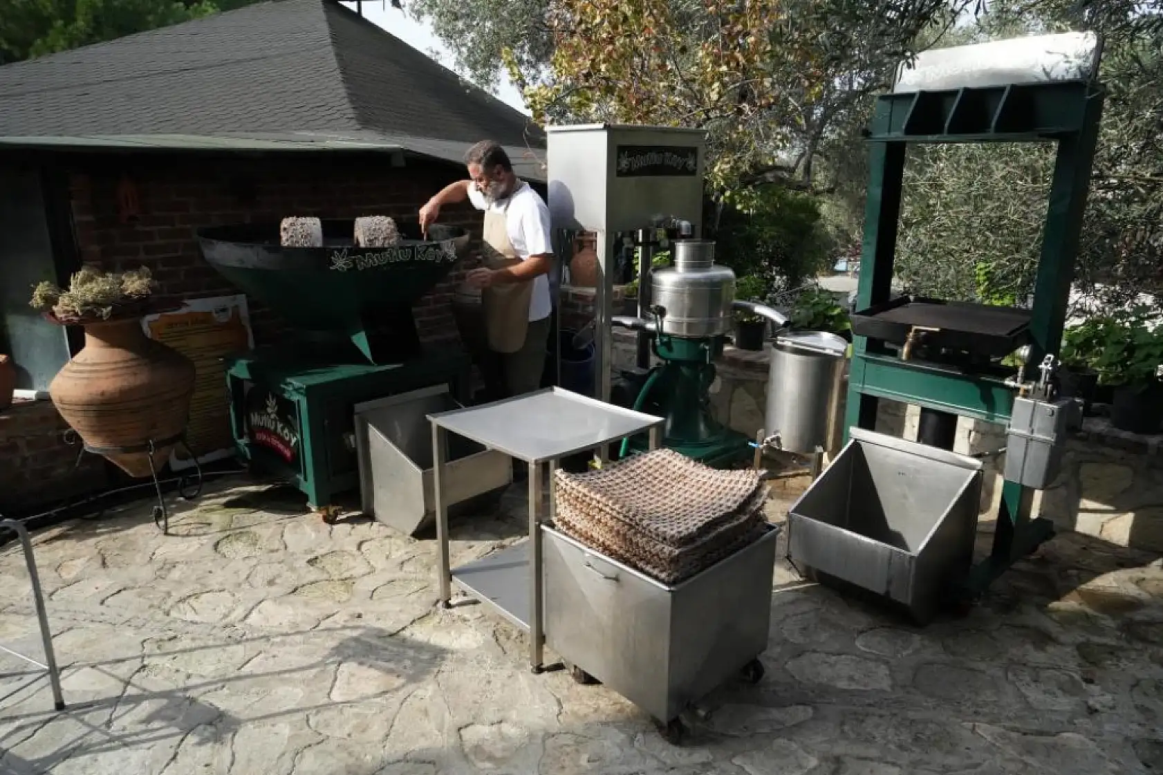 Kekikli Zeytinyağı Üretimi Yoğun İlgi Görüyor