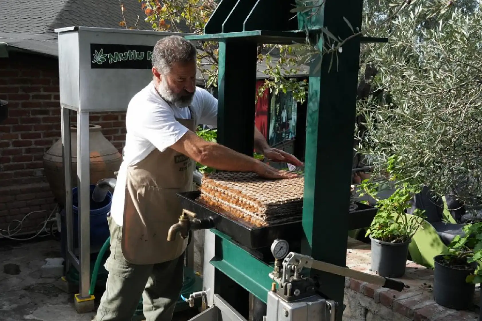 Kekikli Zeytinyağı Üretimi Yoğun İlgi Görüyor