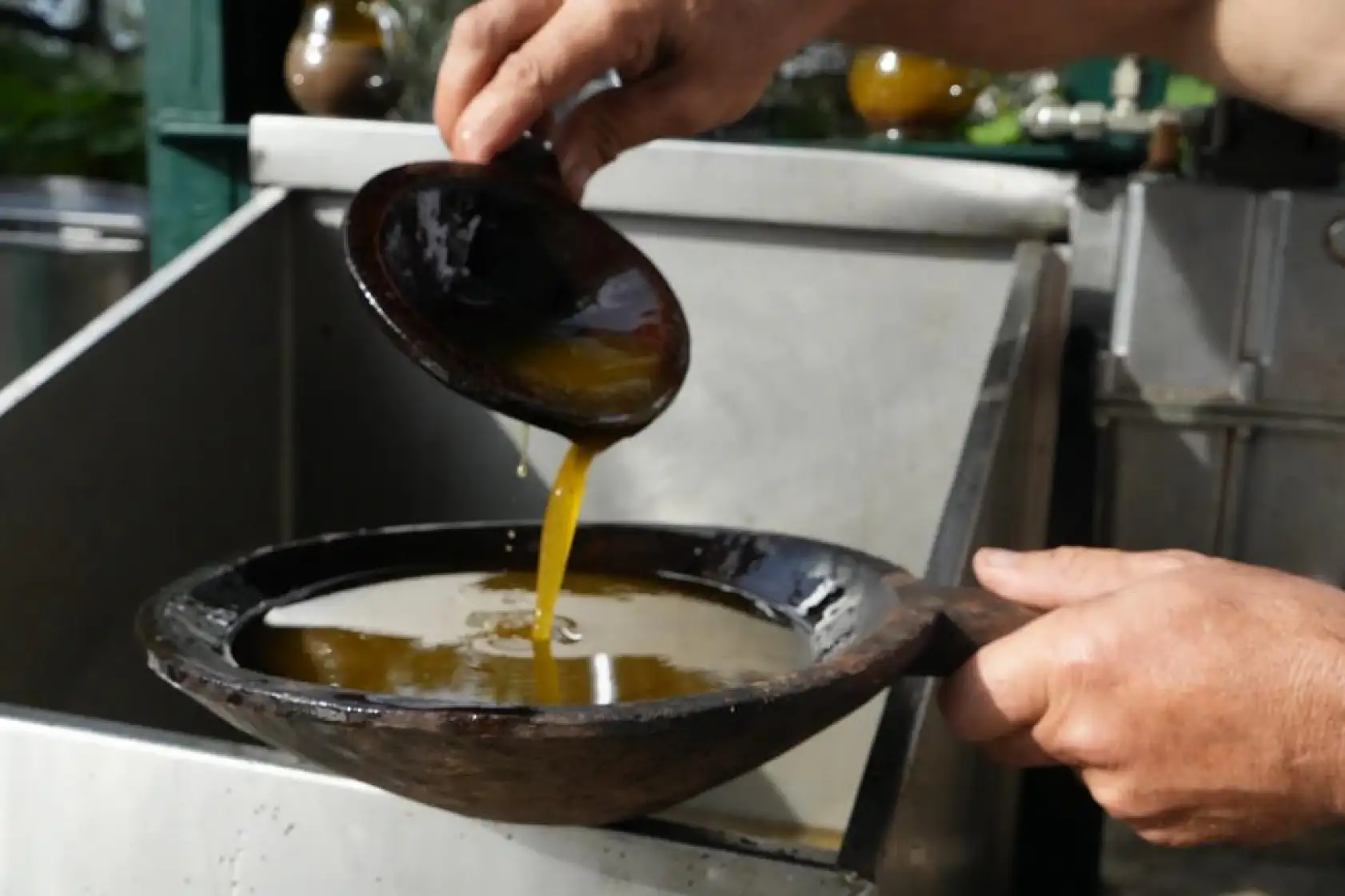 Kekikli Zeytinyağı Üretimi Yoğun İlgi Görüyor